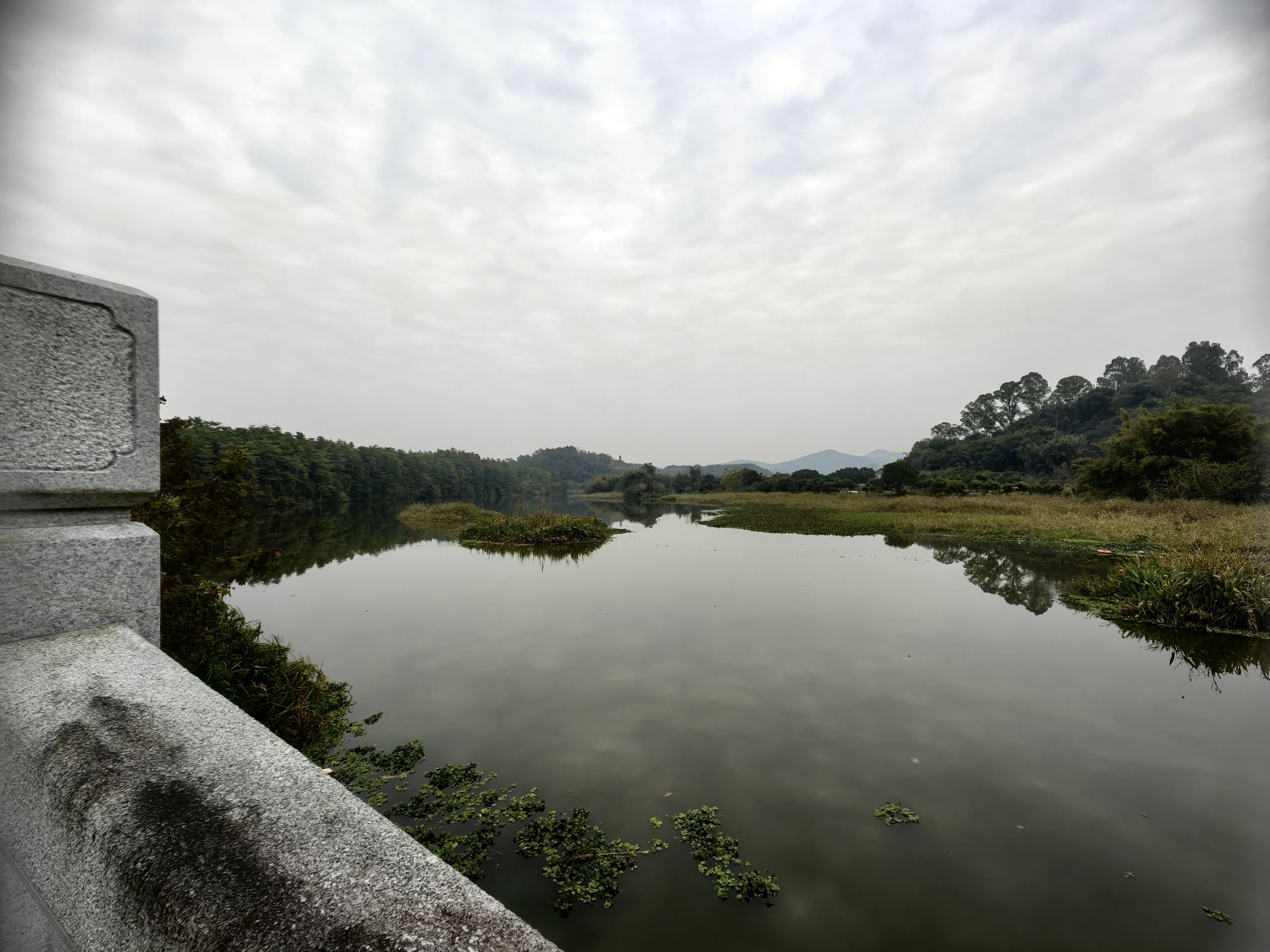 凤凰湿地公园碧道旅行图片 1