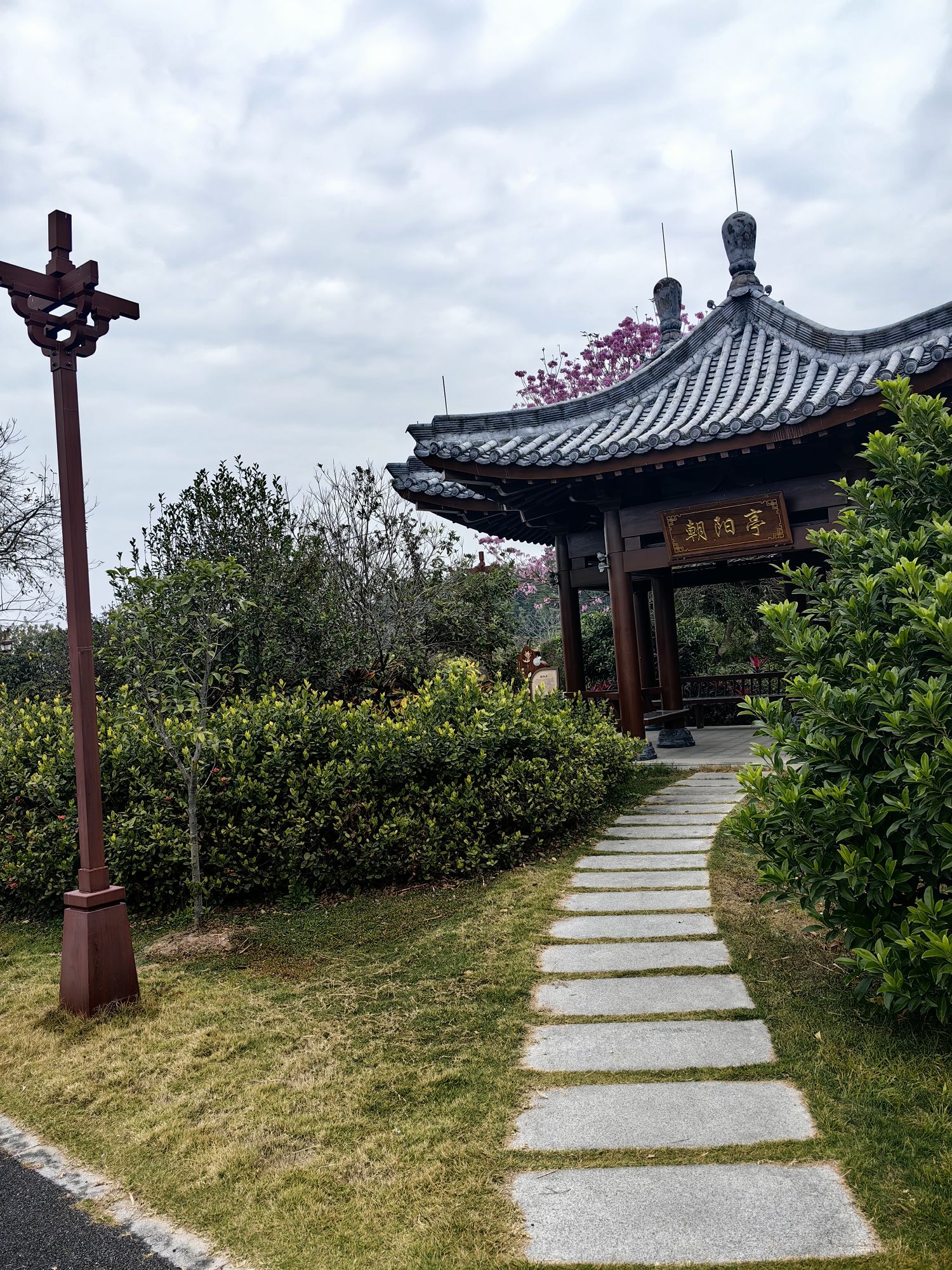 凤凰湿地公园碧道旅行图片 3