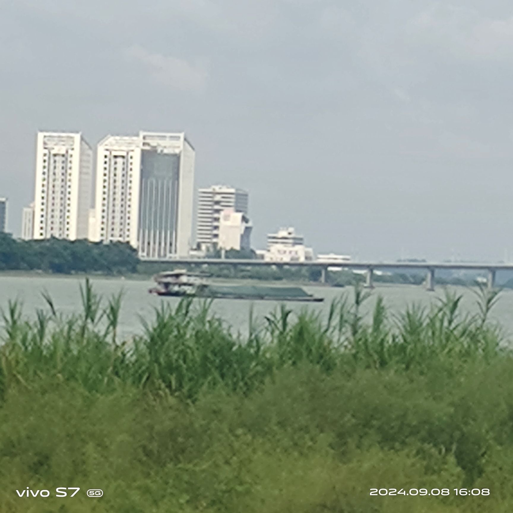 南沙红树林旅行图片 2