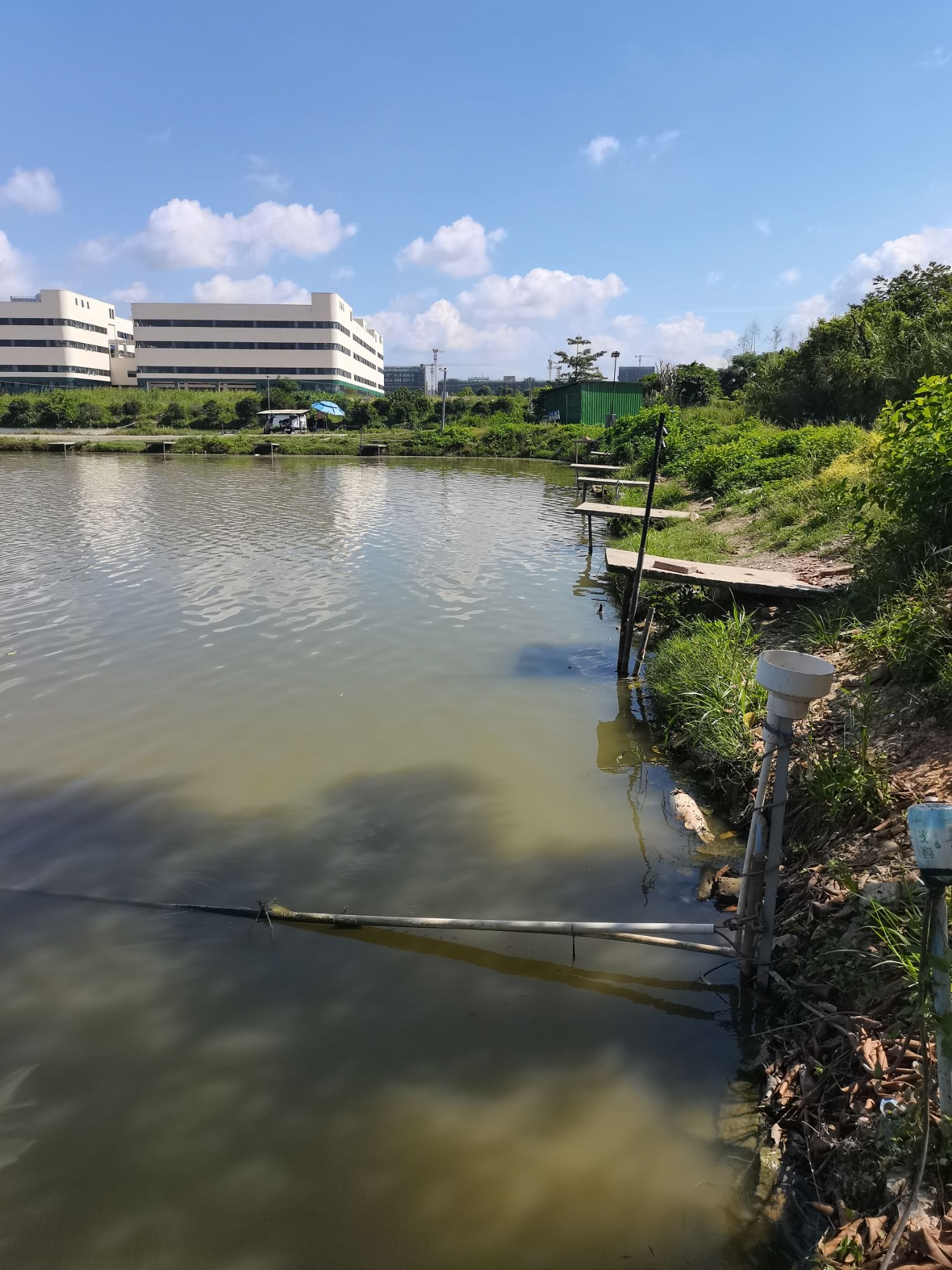 老牛钓鱼场(佛山三水店)
