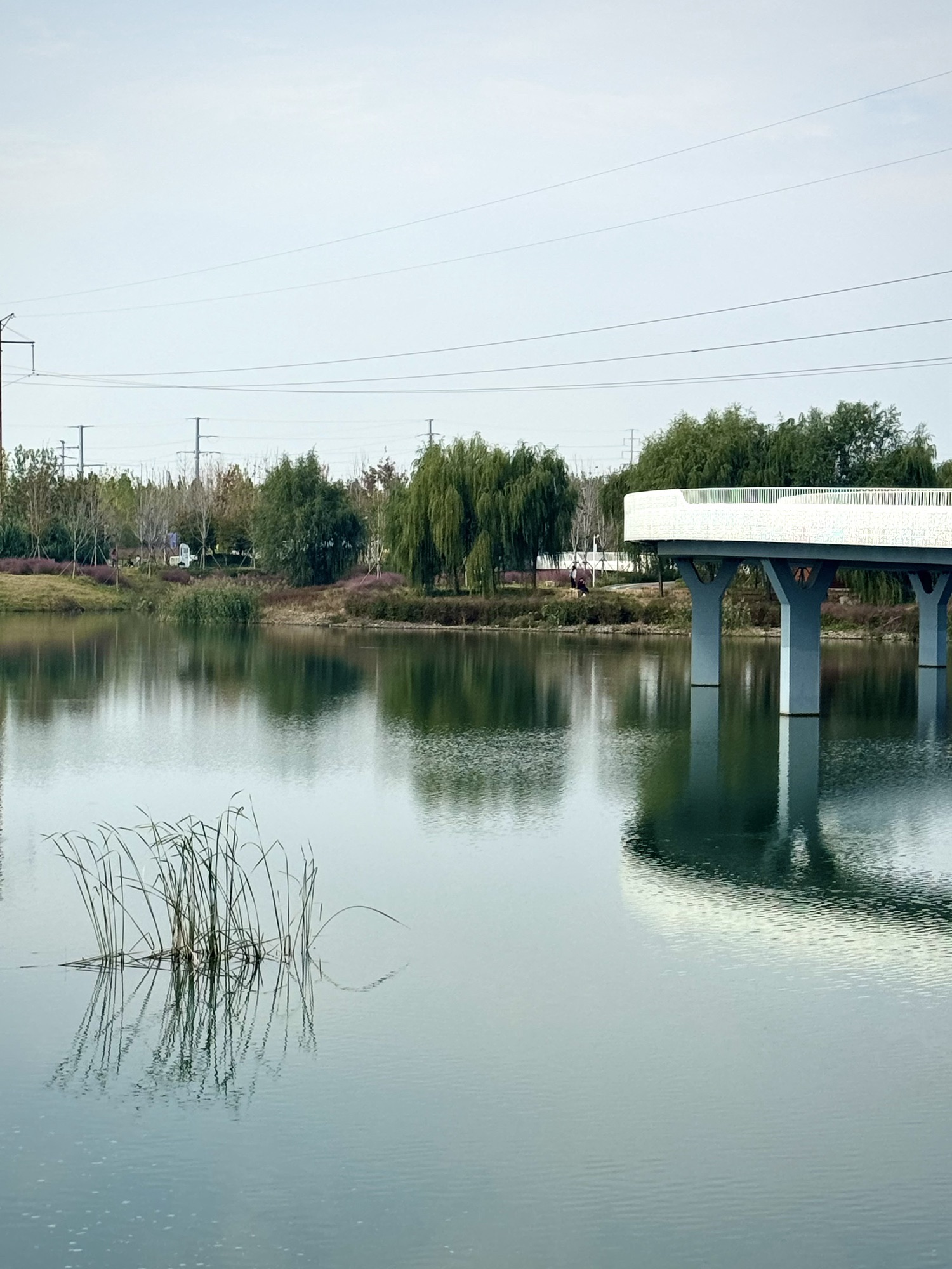 凯盛南湖湿地公园旅行图片 3
