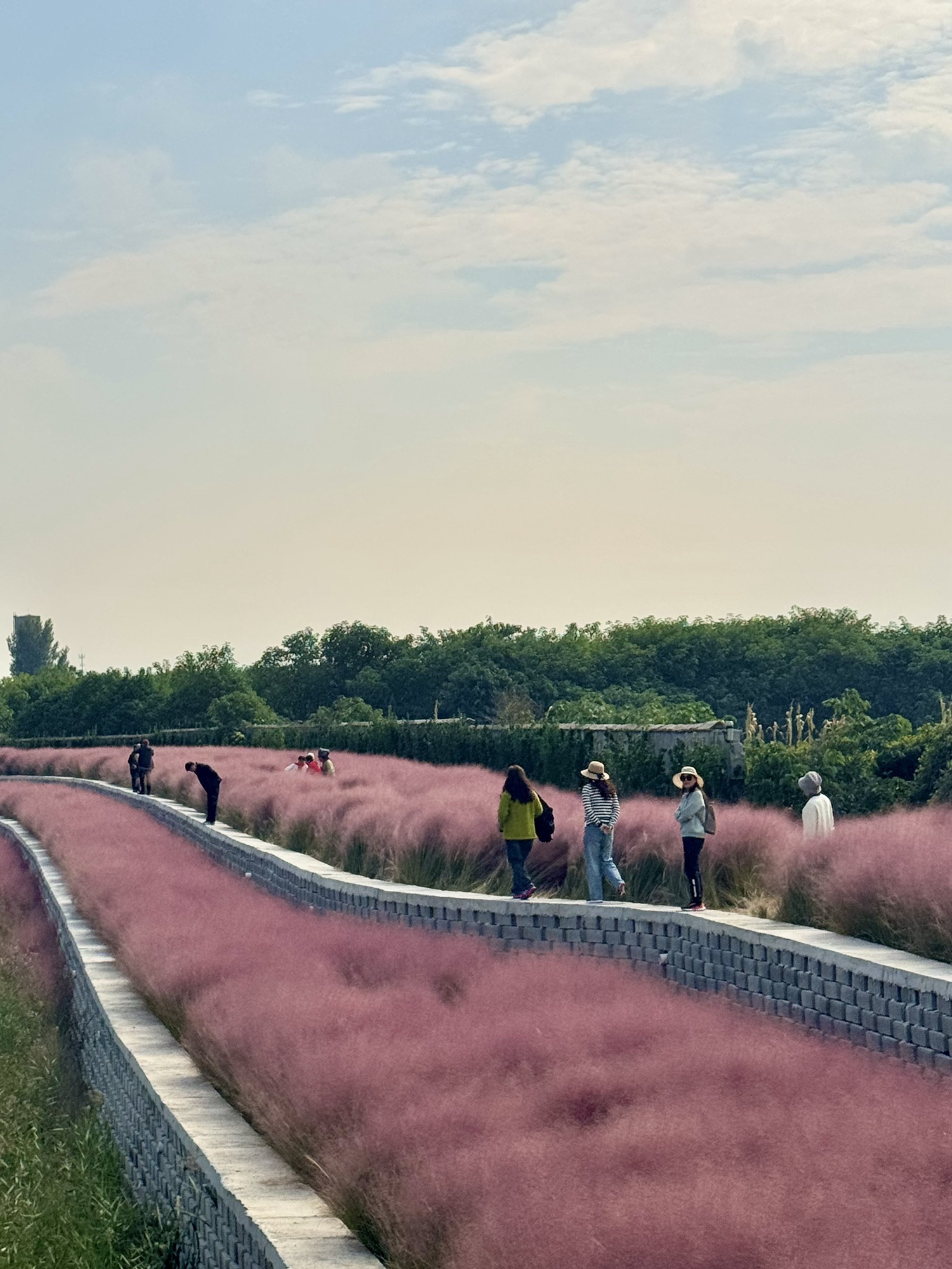 凯盛南湖湿地公园旅行图片 2