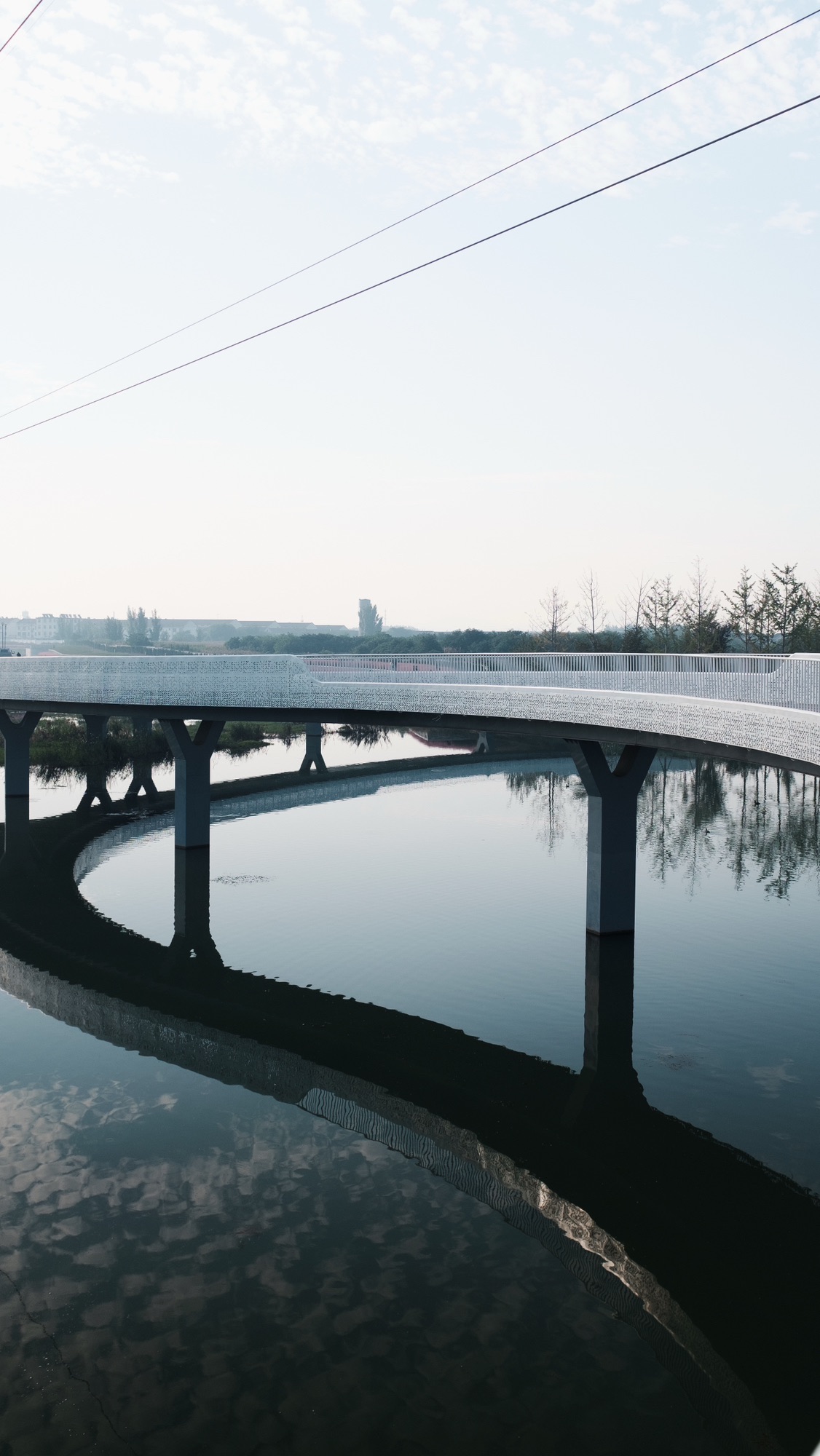 凯盛南湖湿地公园旅行图片 1