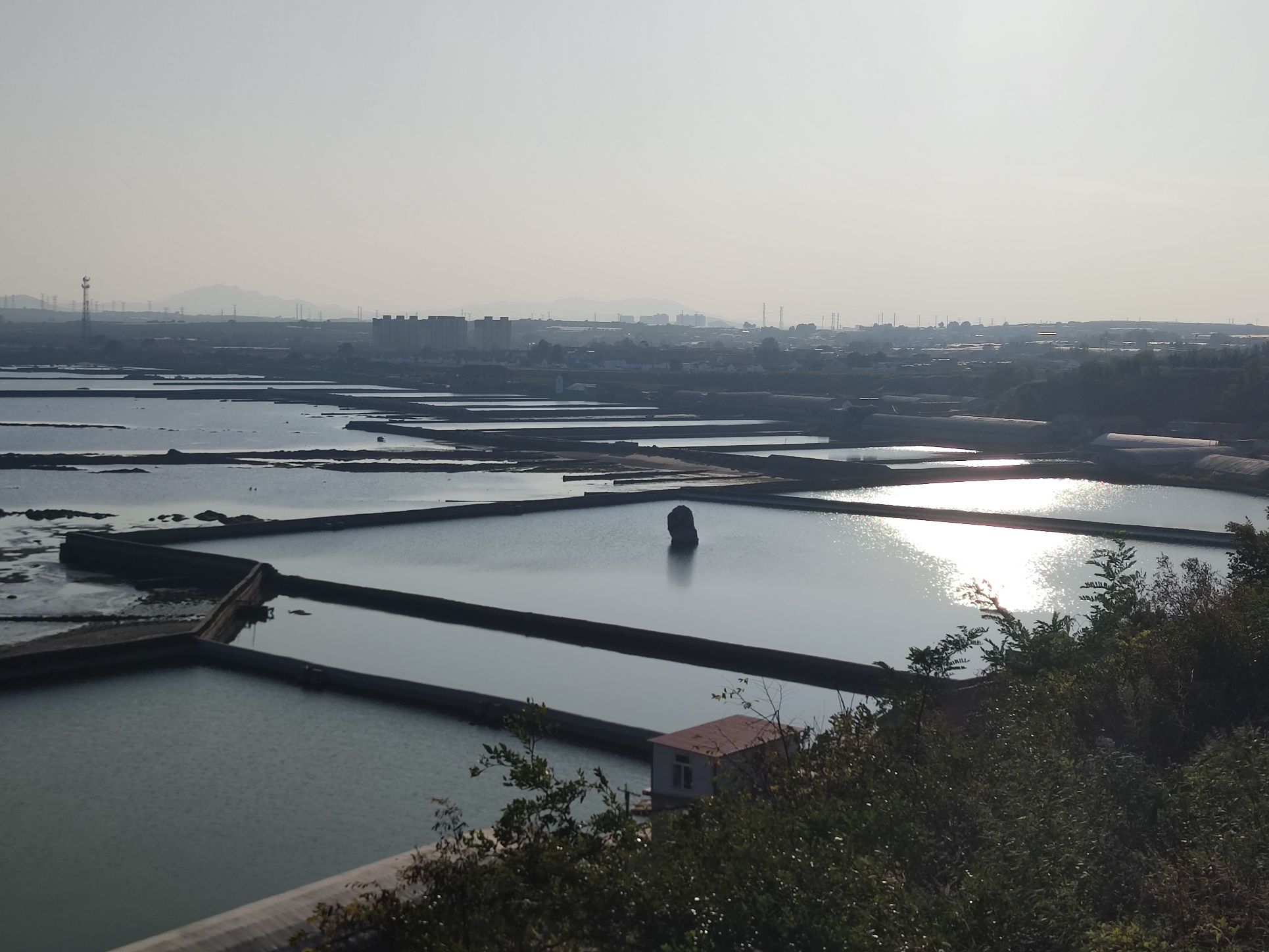 烟台滨海路日出扶桑石旅行图片 2