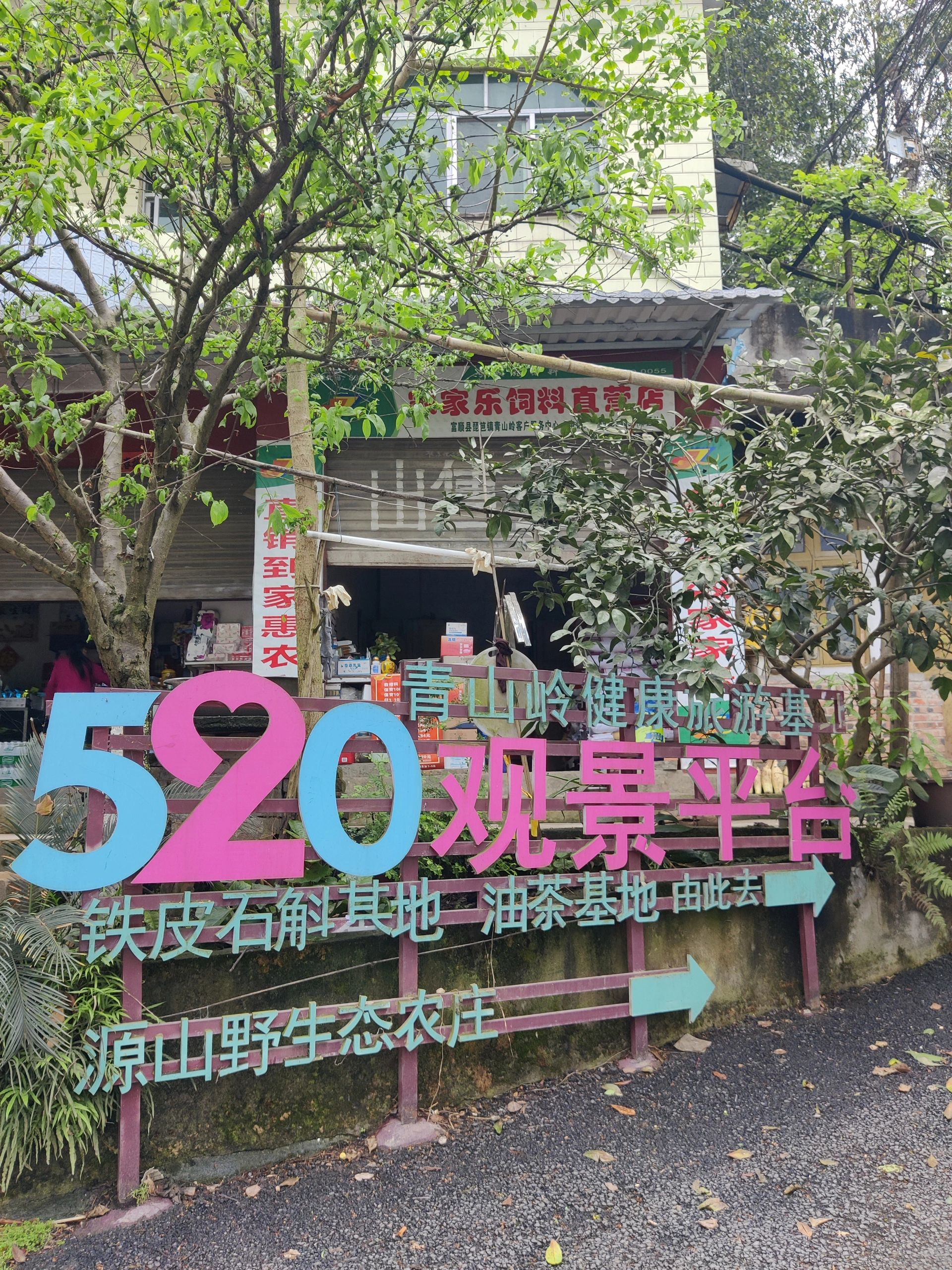 青山岭森林公园-520观景平台旅行图片 1