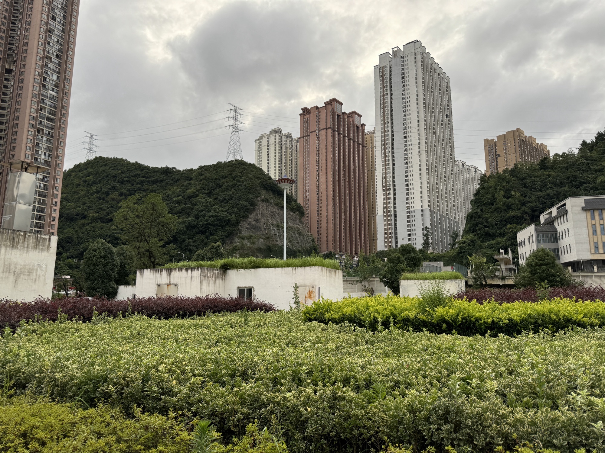 花果园中央公园旅行图片 3