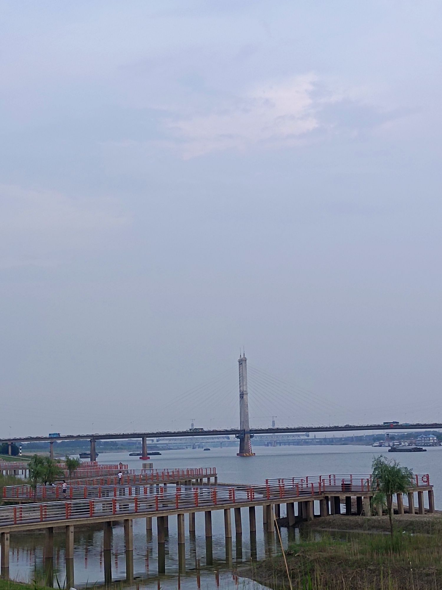 独树岛沙滩公园旅行图片 2