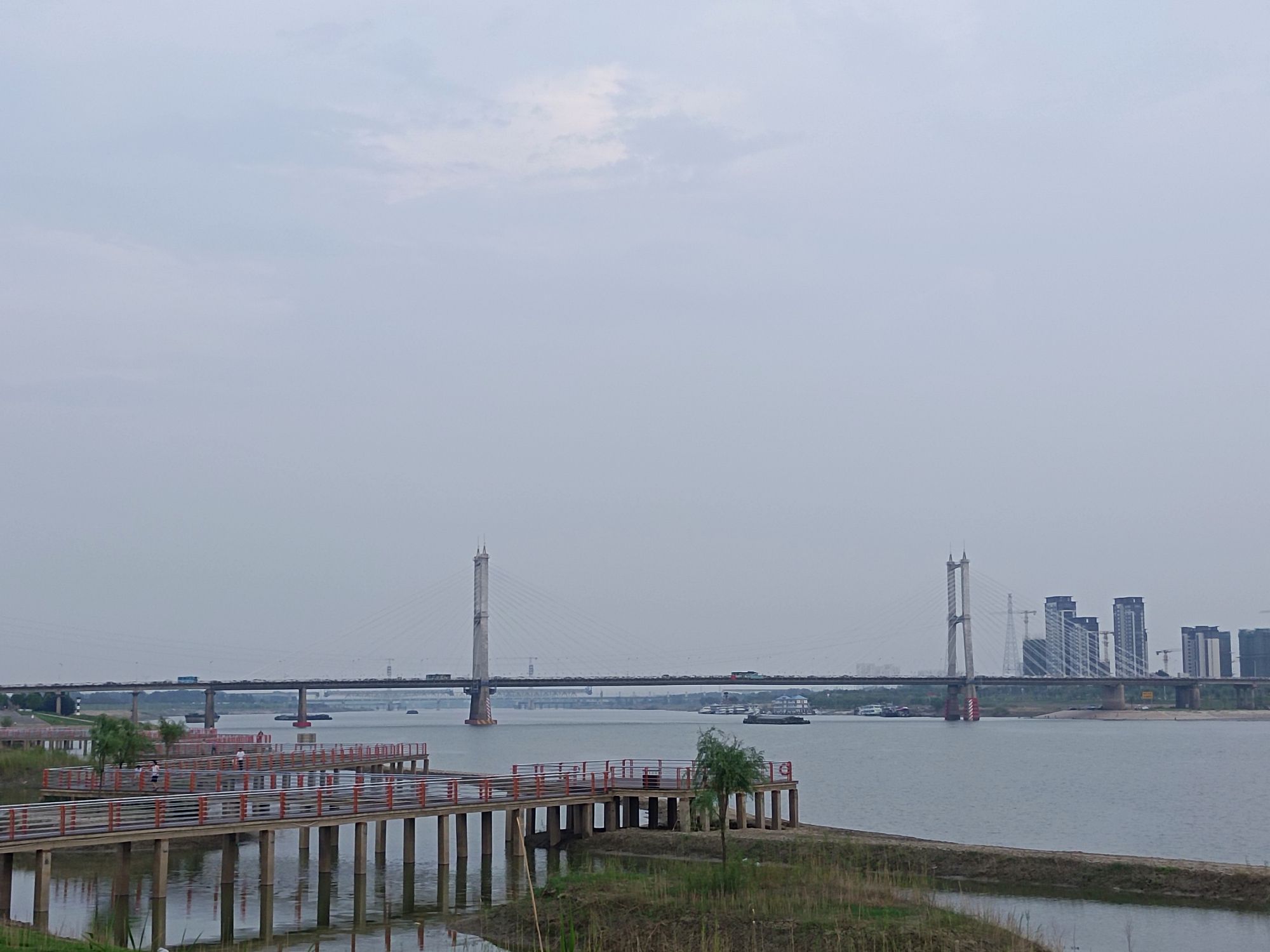 独树岛沙滩公园旅行图片 1