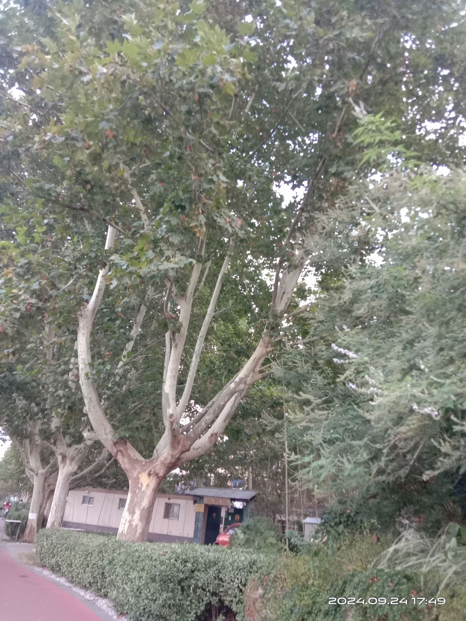 平度动物园旅行图片 3