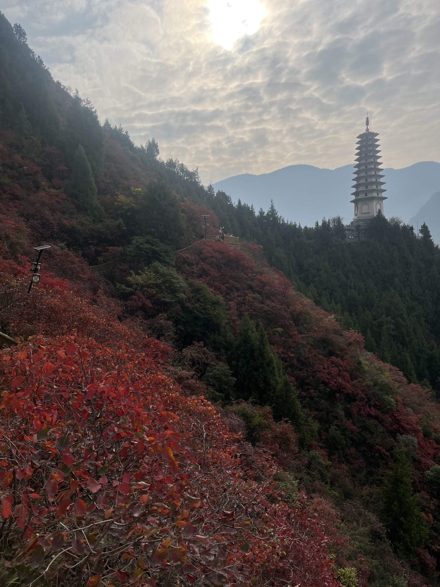 镇水塔旅行图片 2