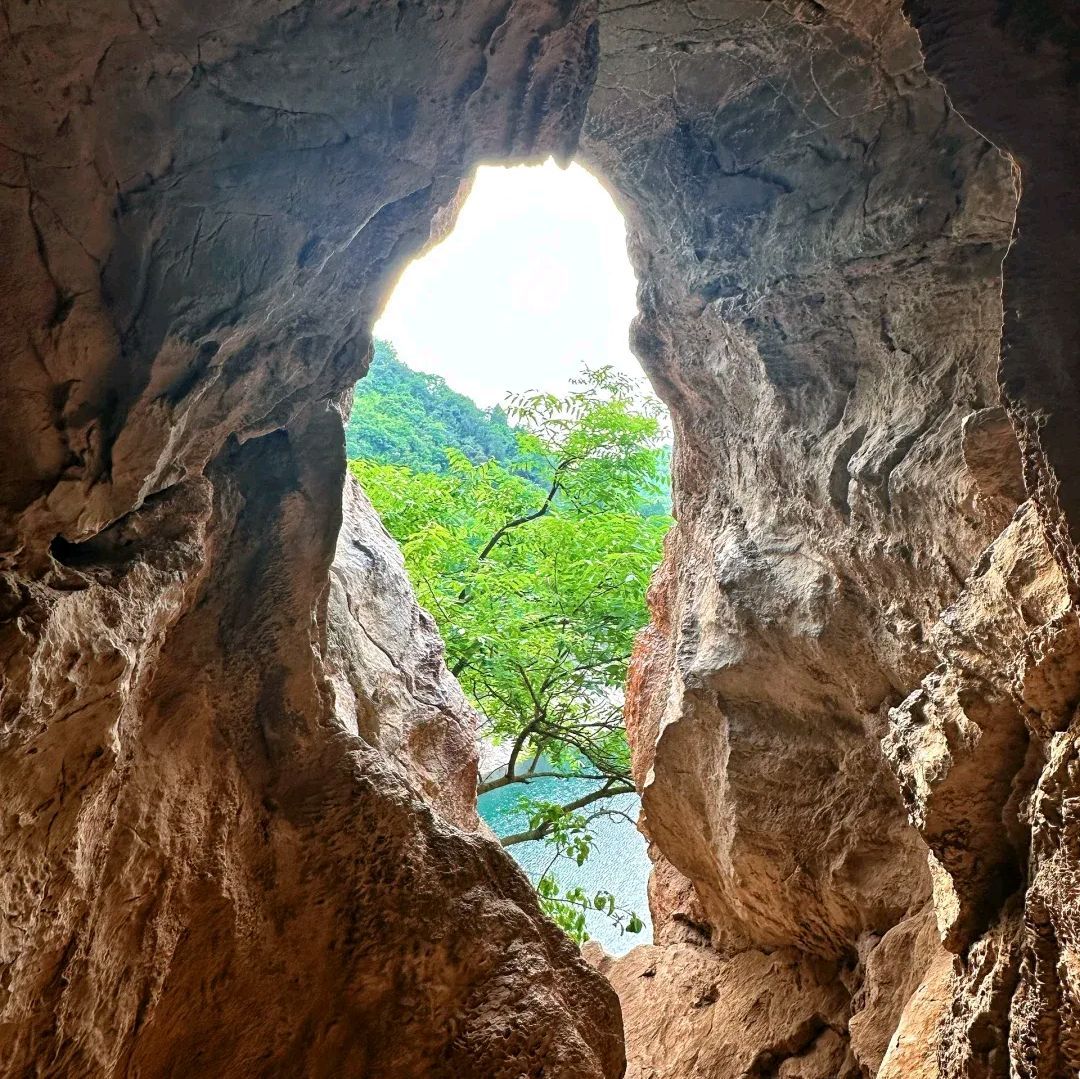 金鱼洞旅行图片 1