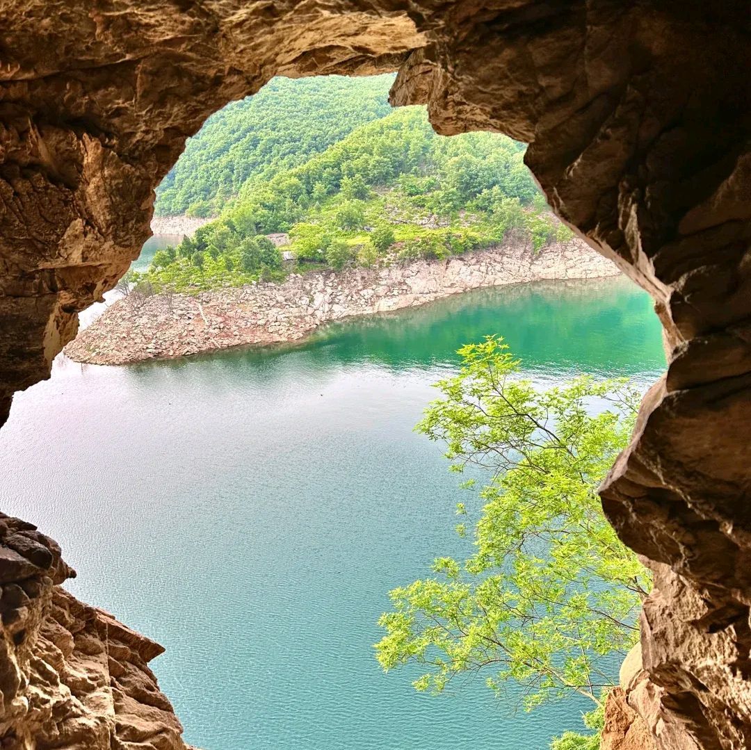 金鱼洞旅行图片 2