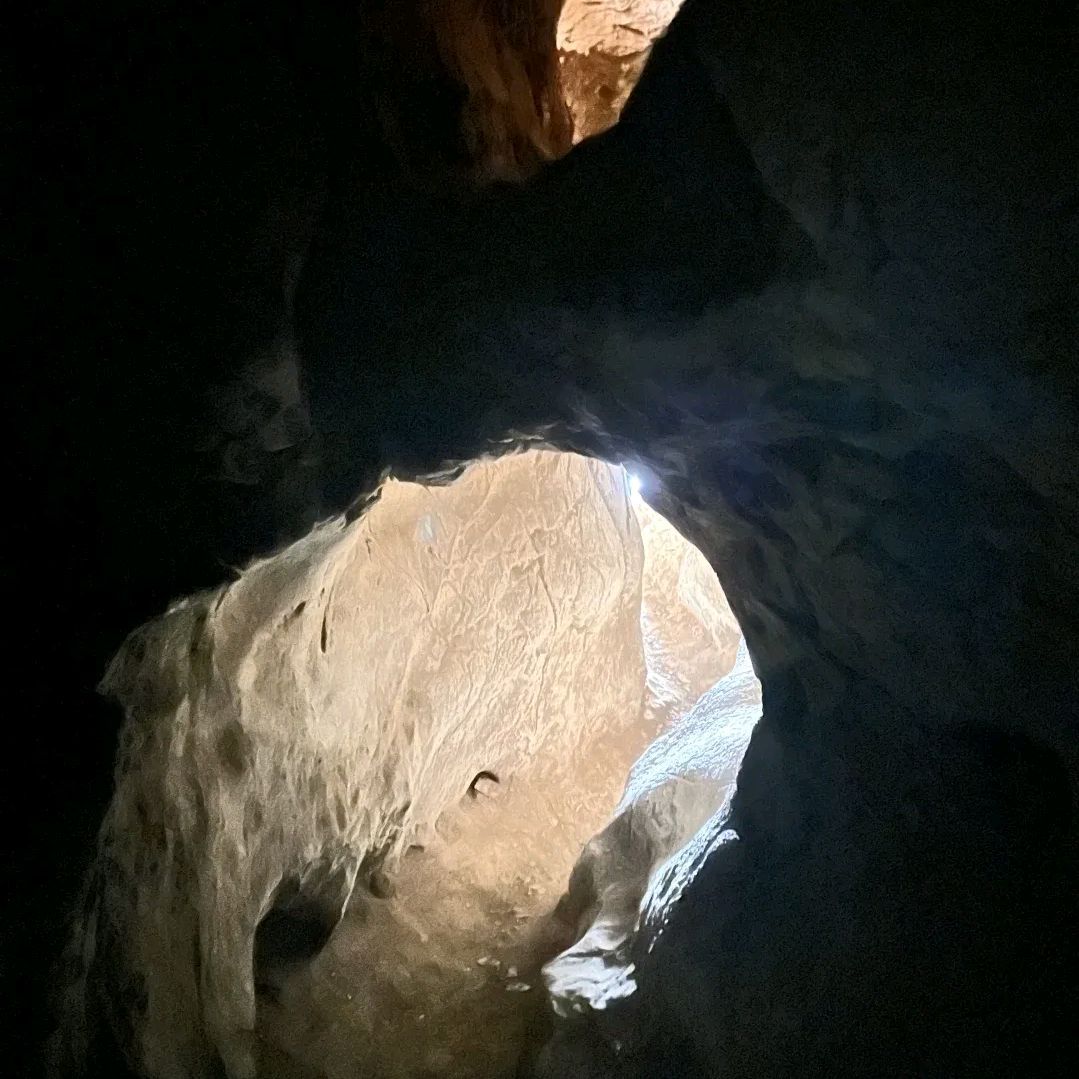 金鱼洞旅行图片 3