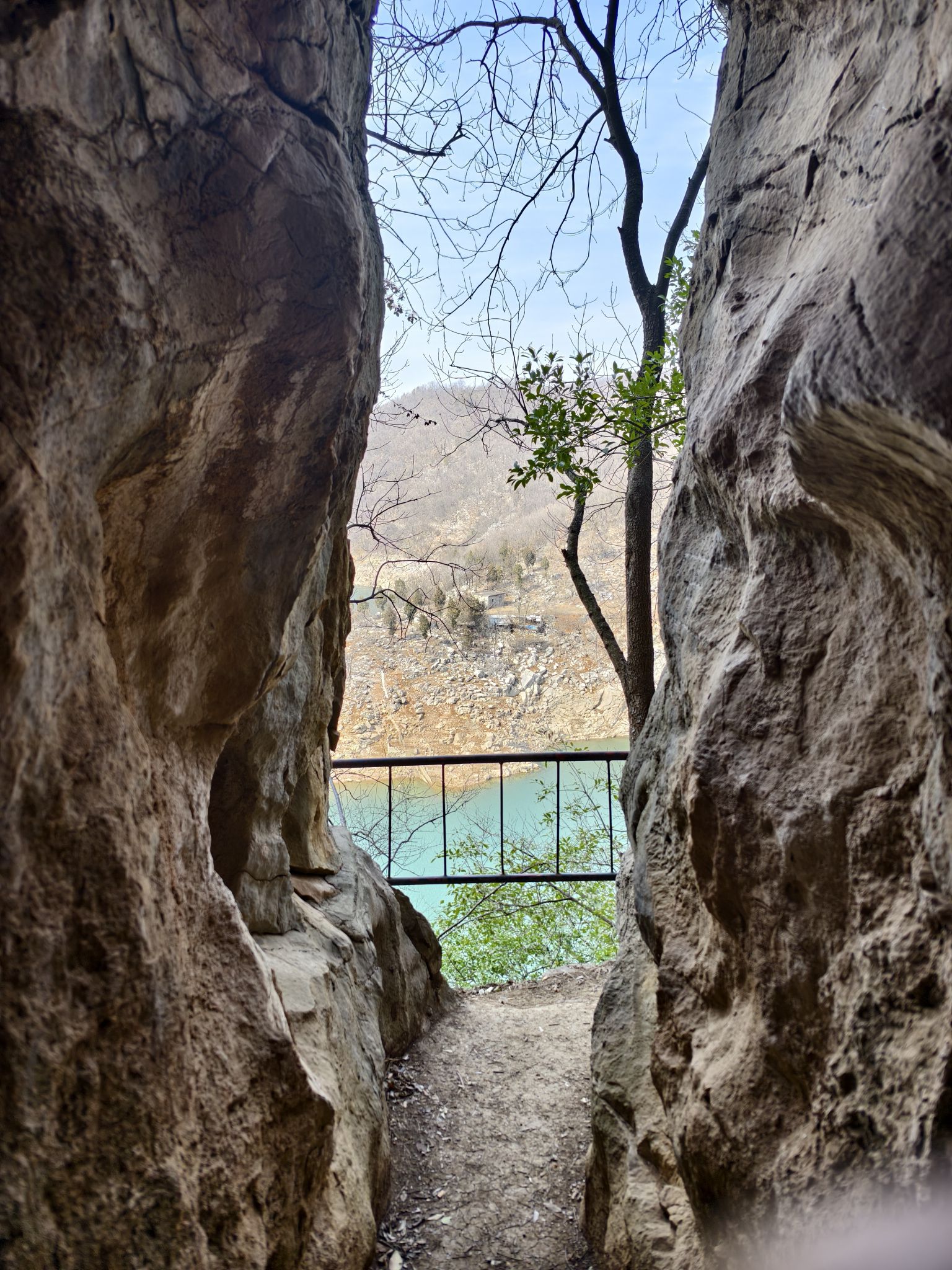 金鱼洞旅行图片 1