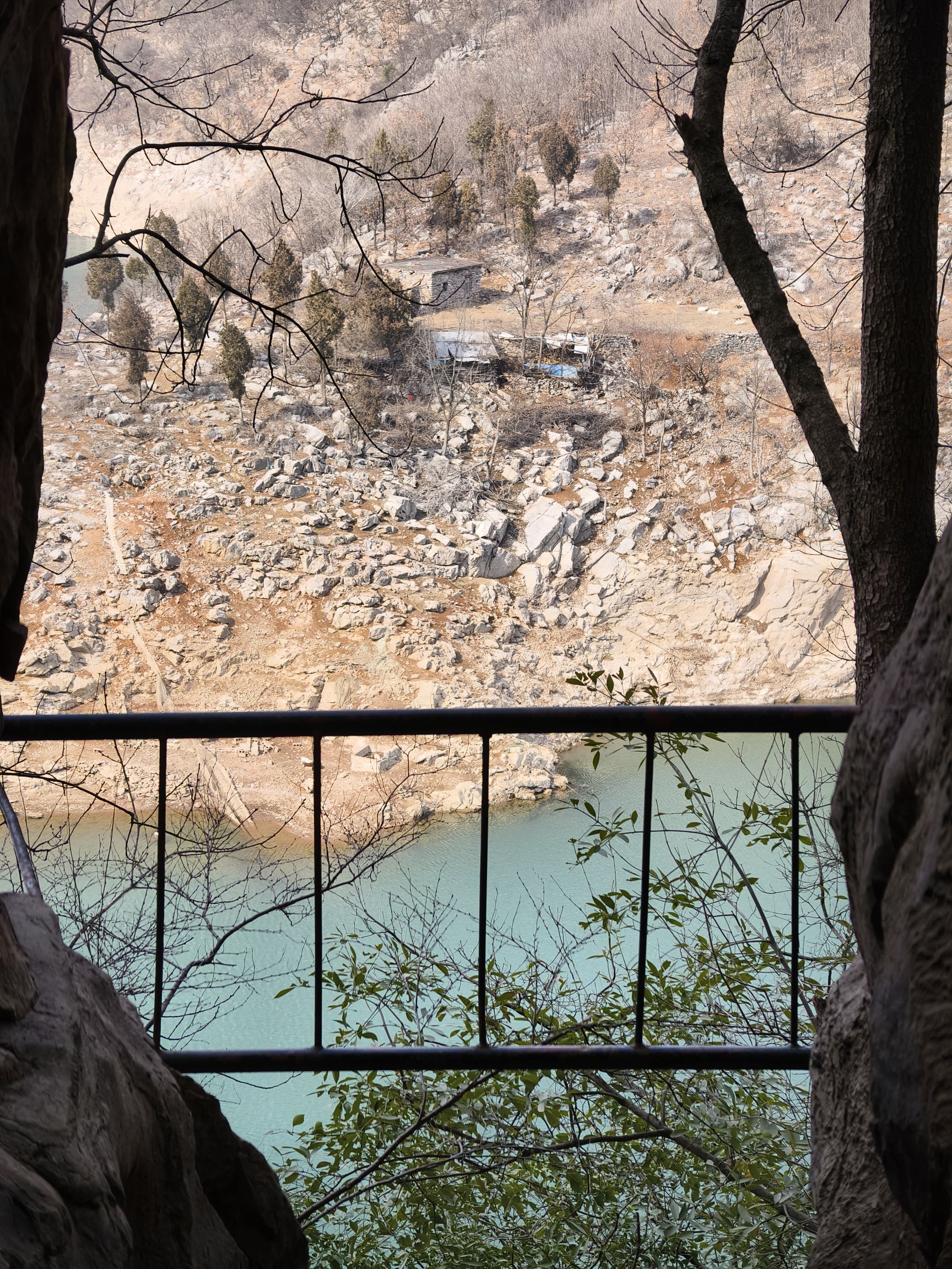 金鱼洞旅行图片 2