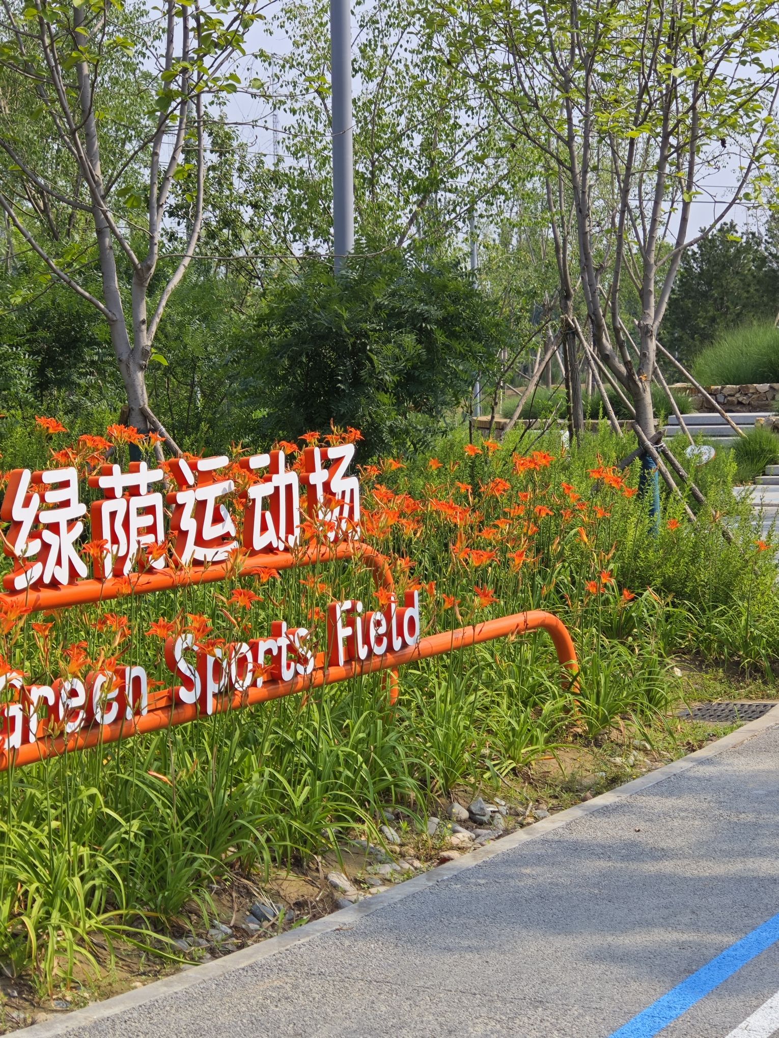 回龙观生态休闲公园旅行图片 3