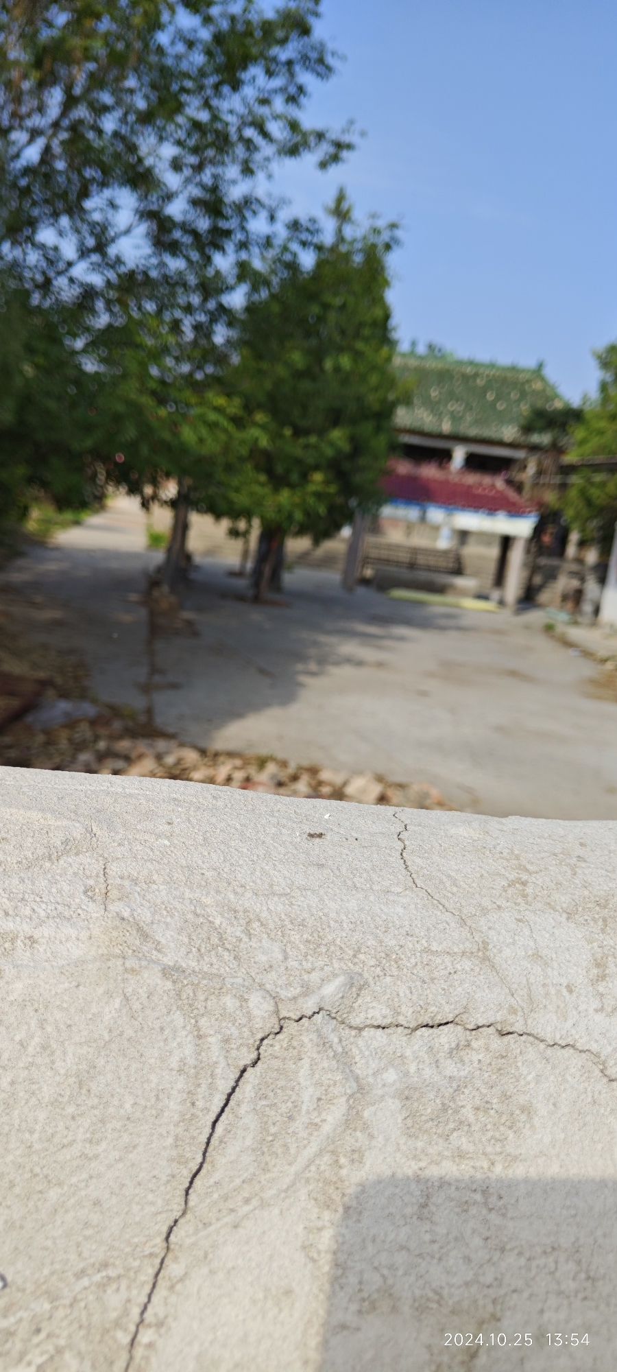 董仲舒墓旅行图片 2
