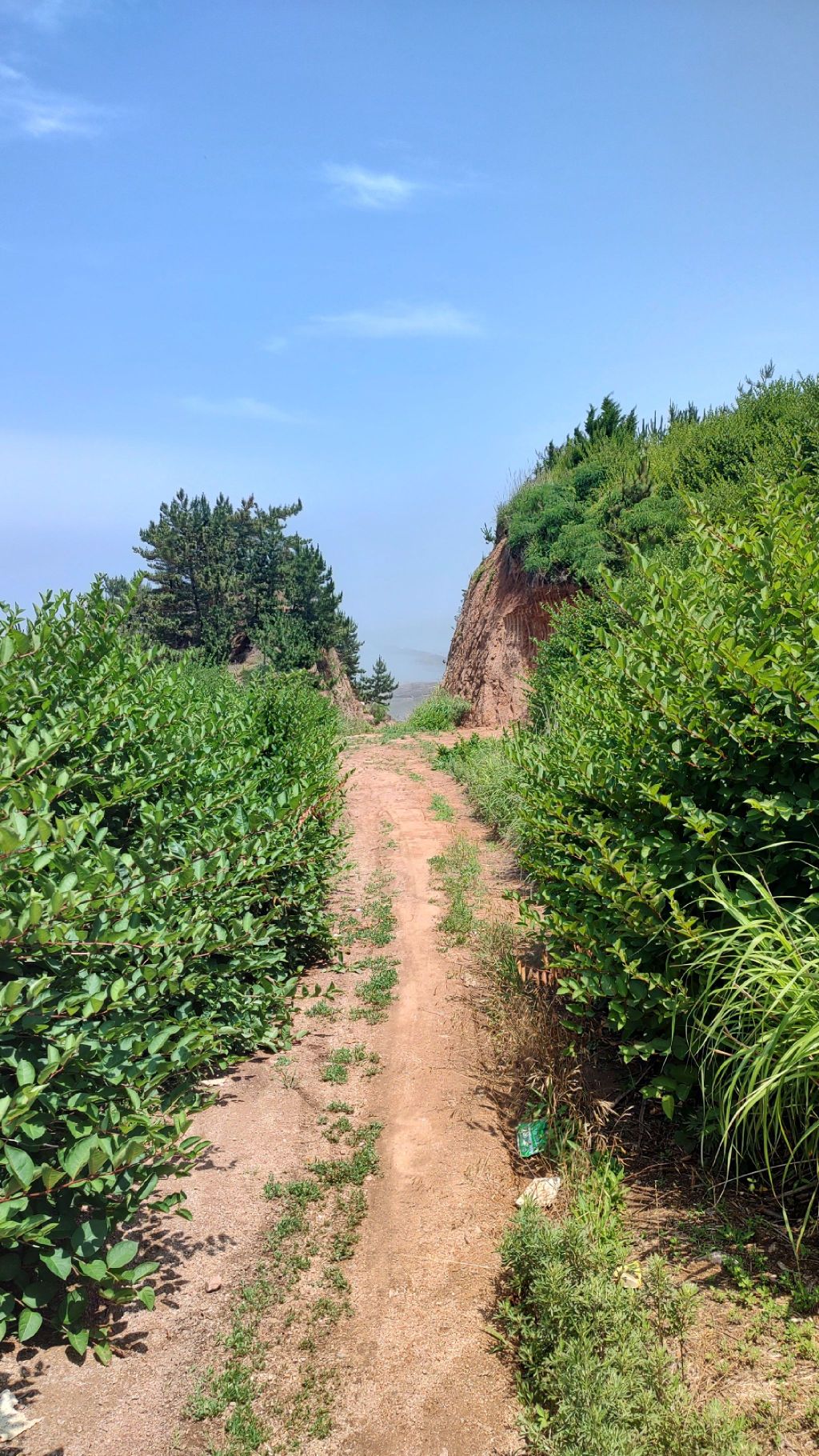 最佳观景点旅行图片 3
