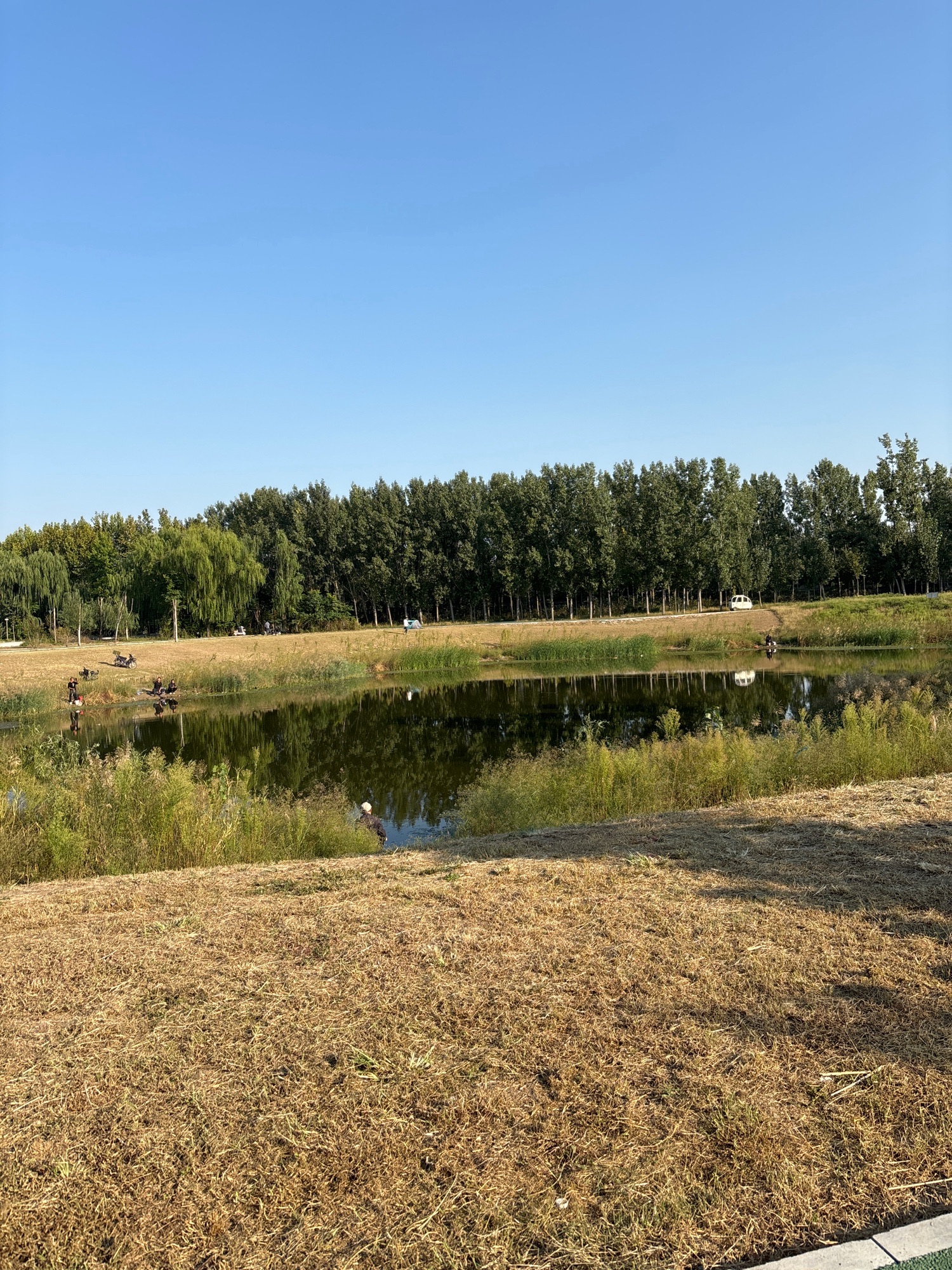 濮东体育公园旅行图片 3