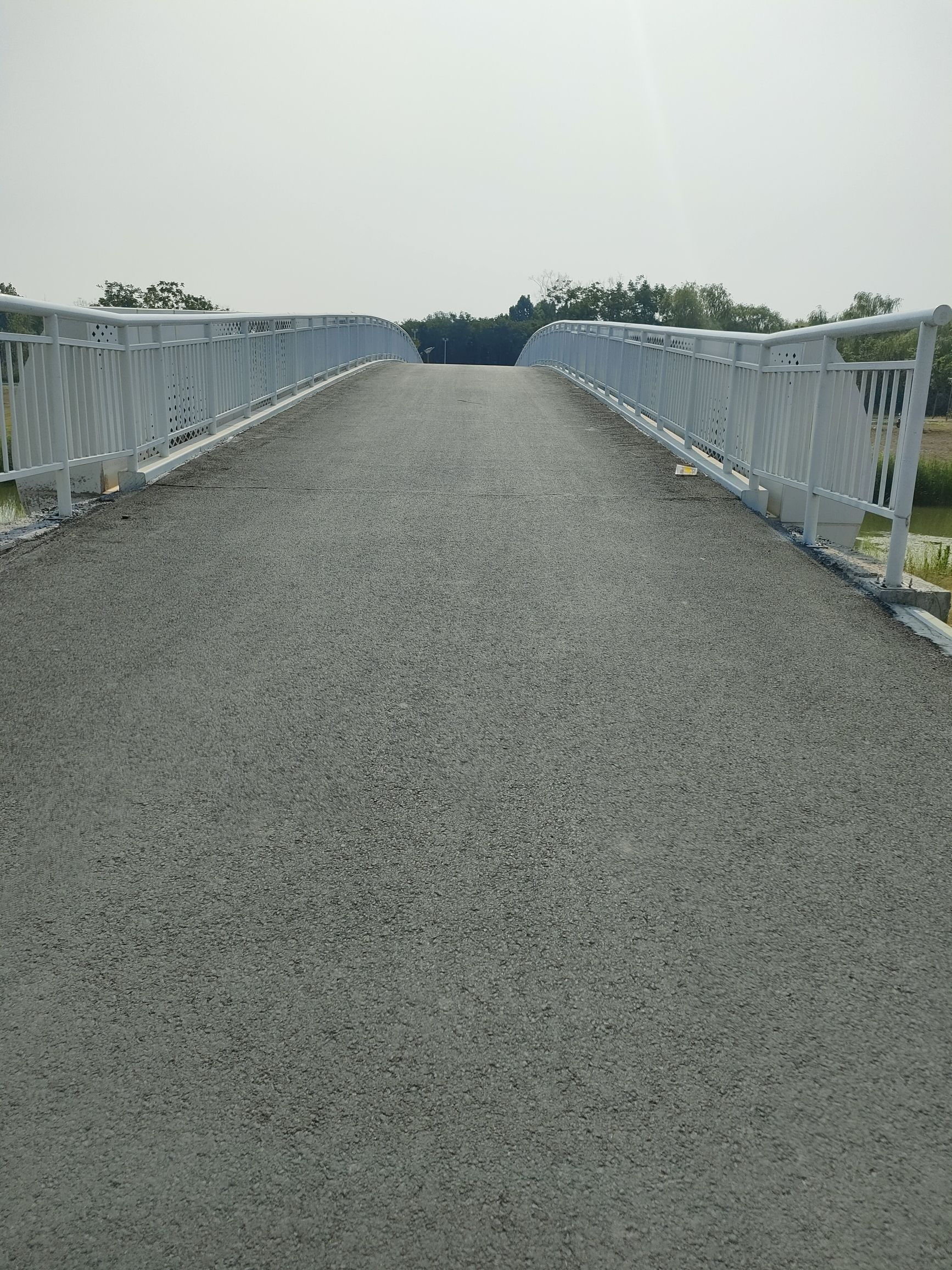 濮东体育公园旅行图片 3