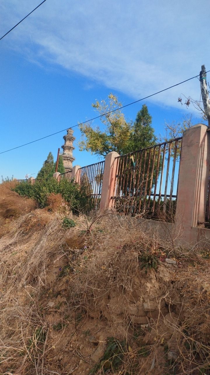西林寺旅行图片 3