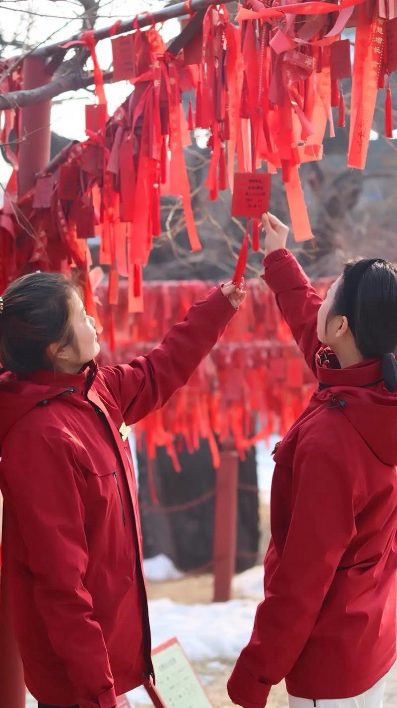 岢岚县文庙旅行图片 1