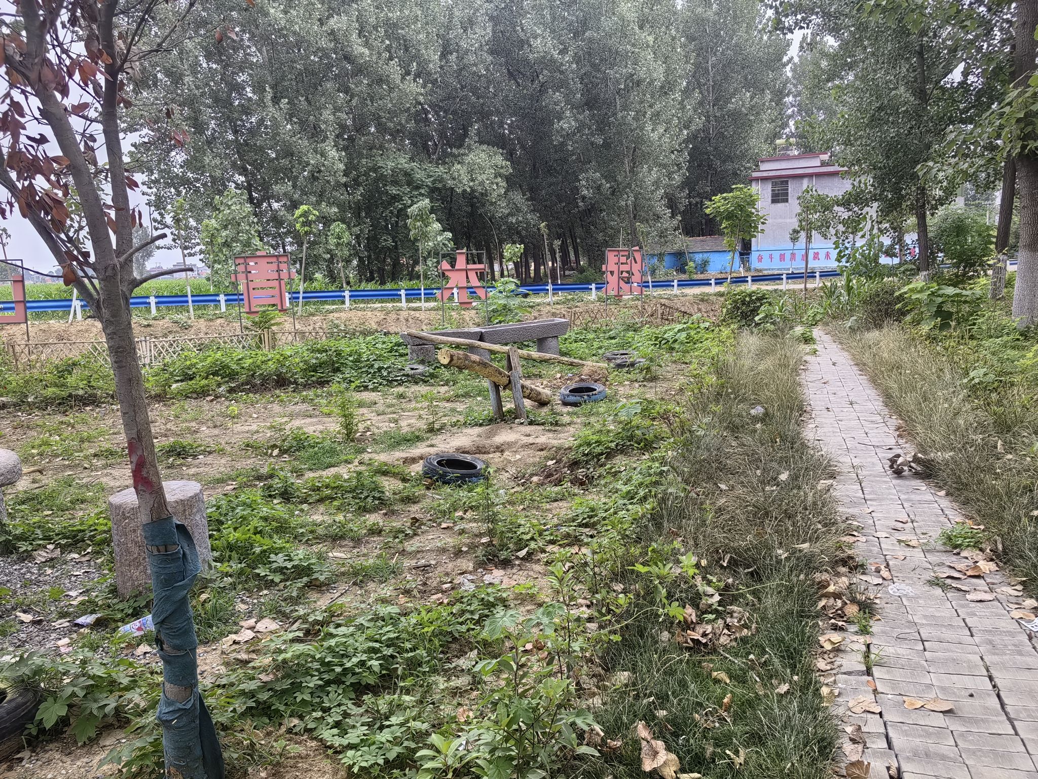 李楼公园旅行图片 3