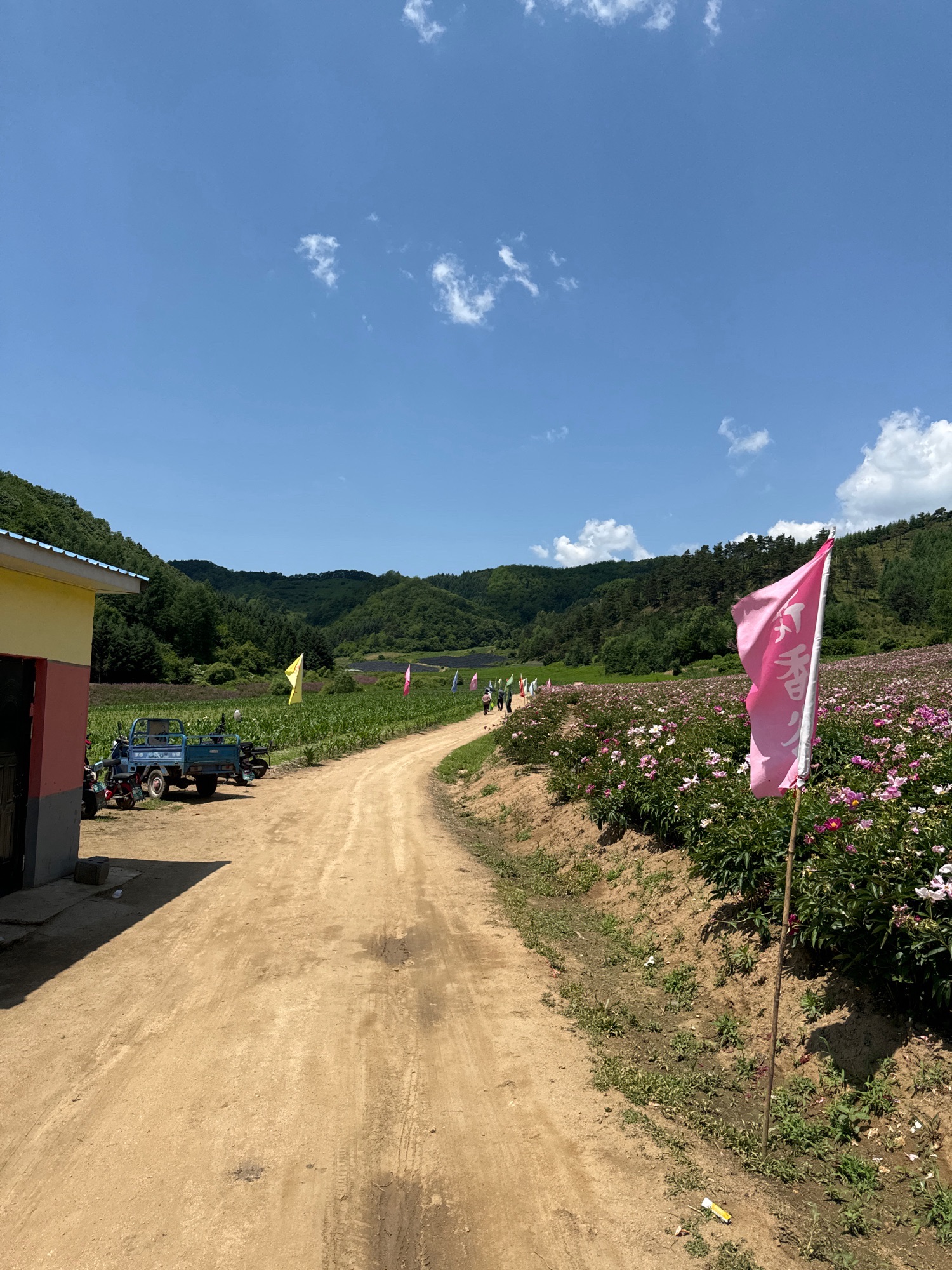 花香谷旅行图片 3