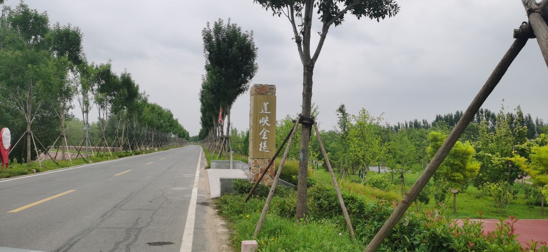 郑东新区北孙庄村荷花观景区旅行图片 1