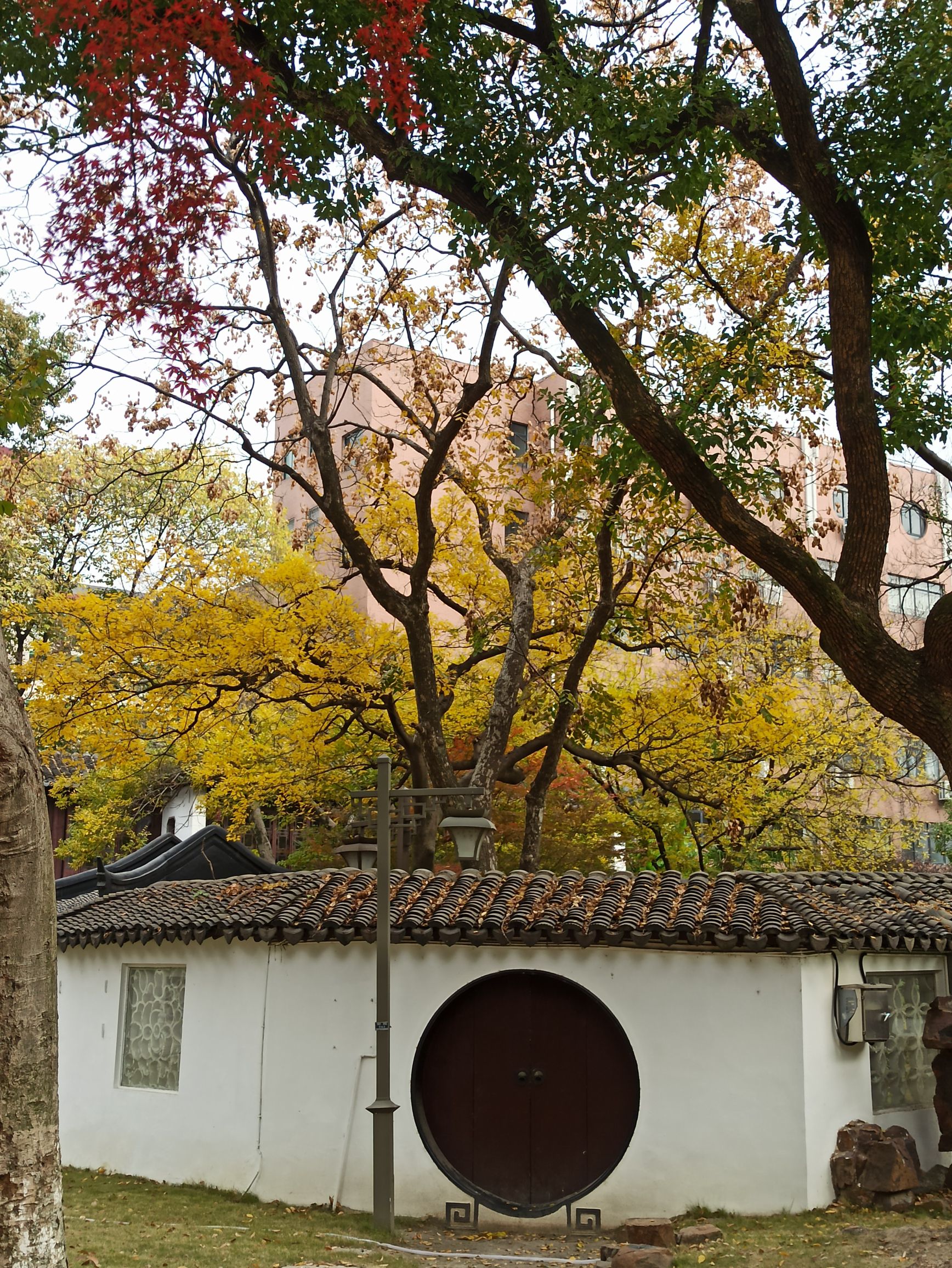 湖墅公园旅行图片 2