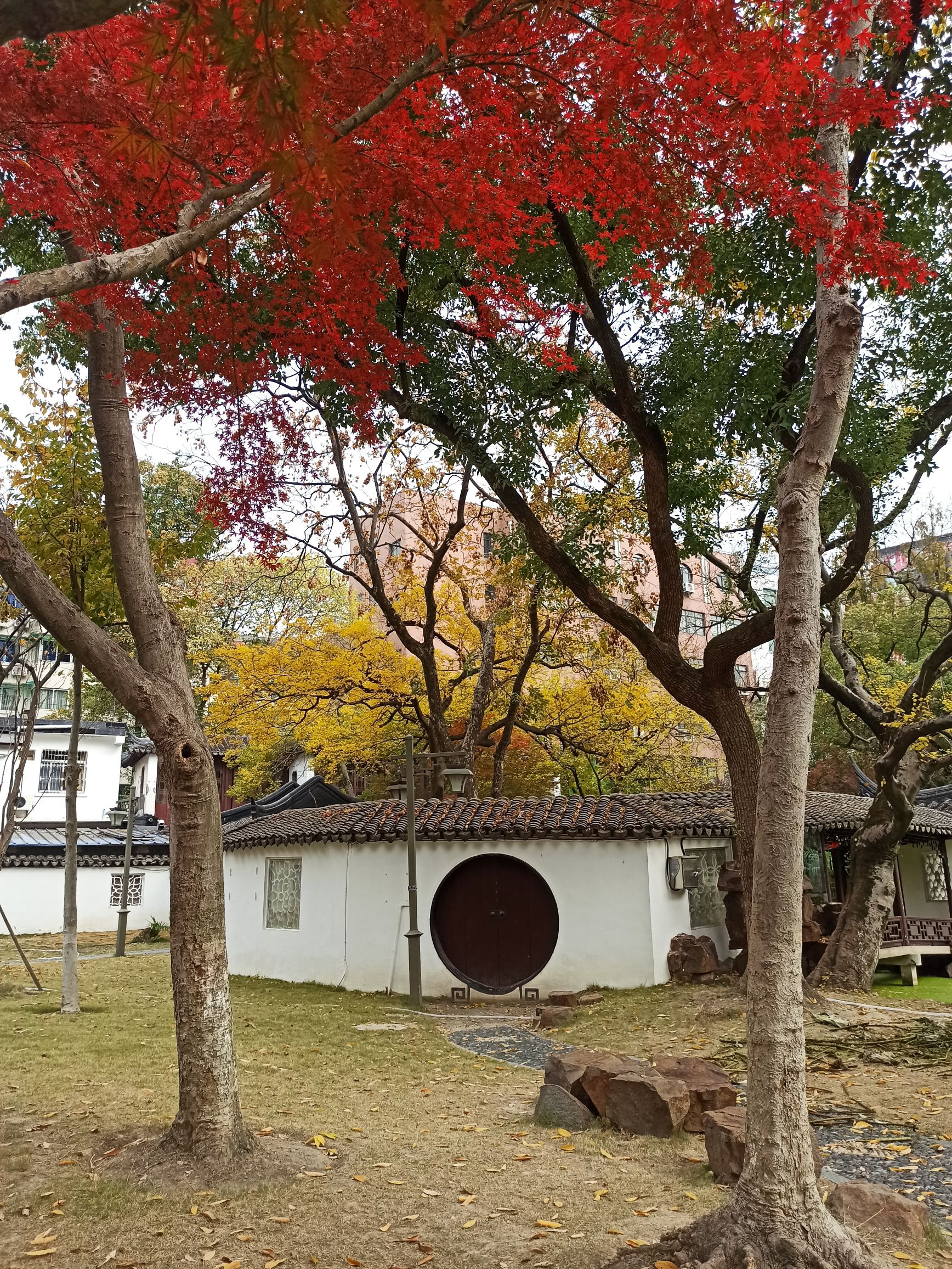 湖墅公园旅行图片 3