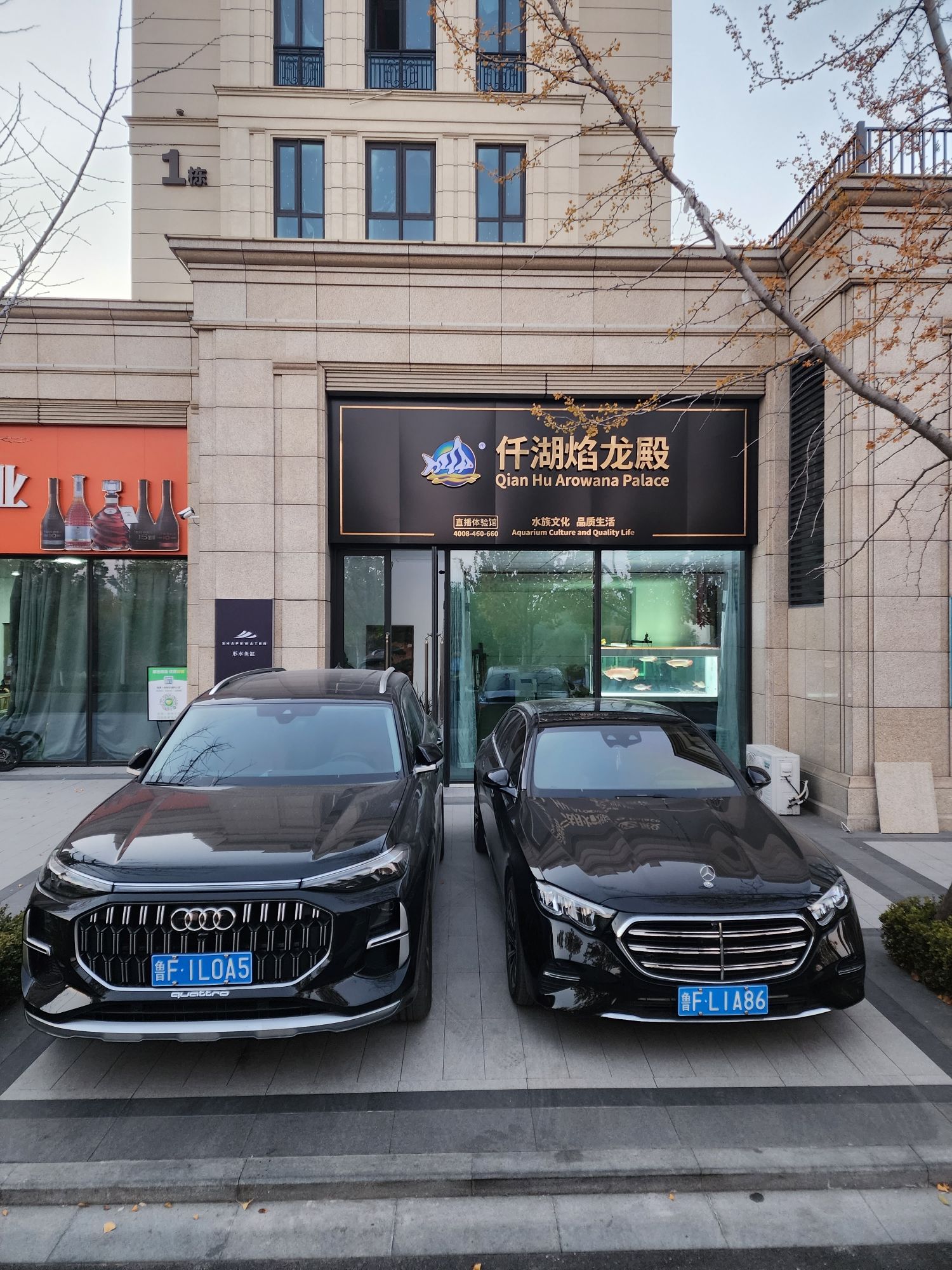 仟湖焰龙殿形水鱼缸旅行图片 1