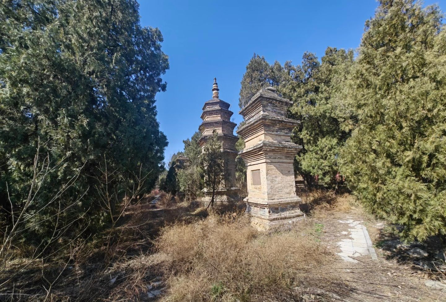 风穴寺下塔林实景照片
