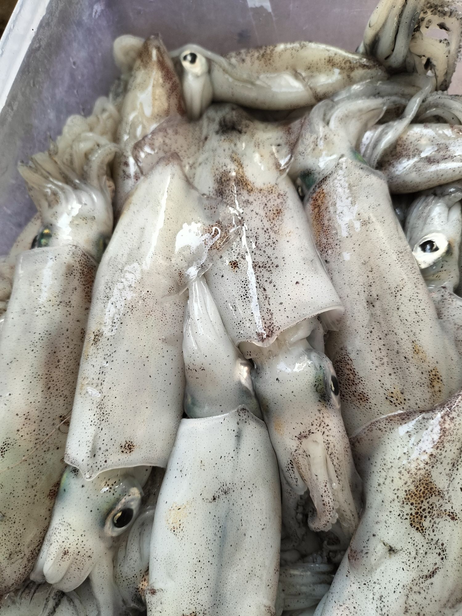 渔家经济饭店