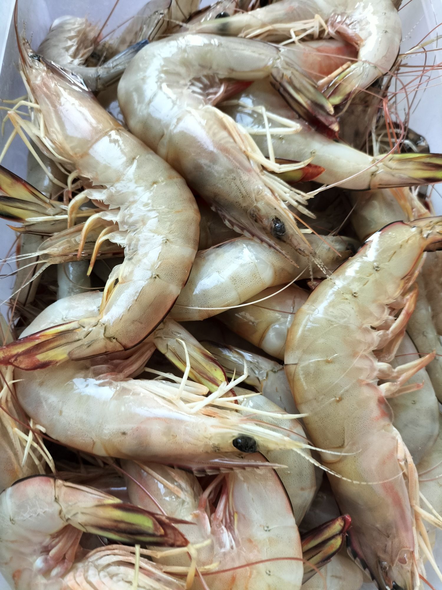 渔家经济饭店