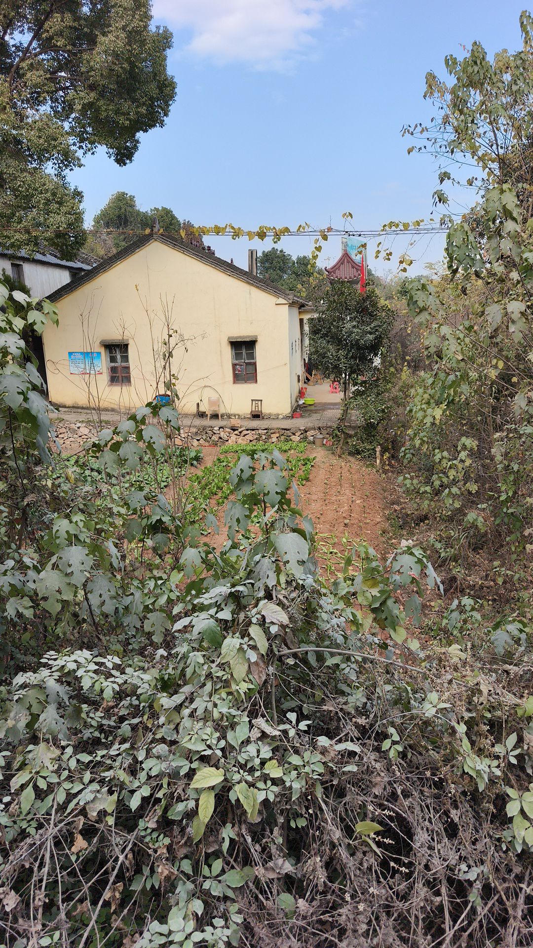 义泉寺实景照片
