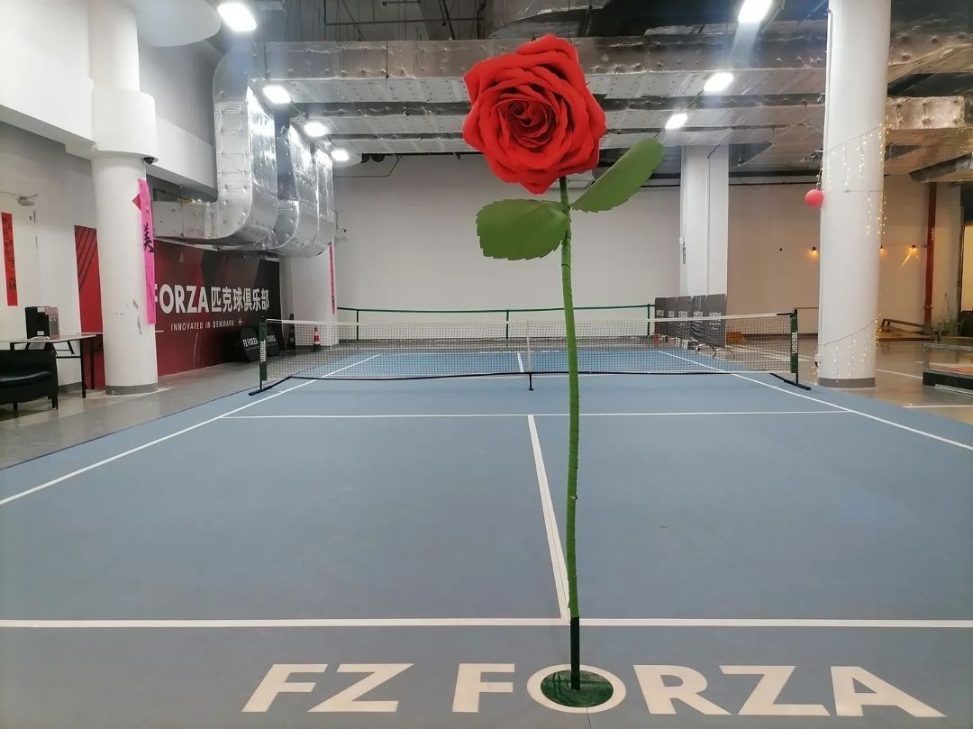 FZ FORZA匹克球俱乐部