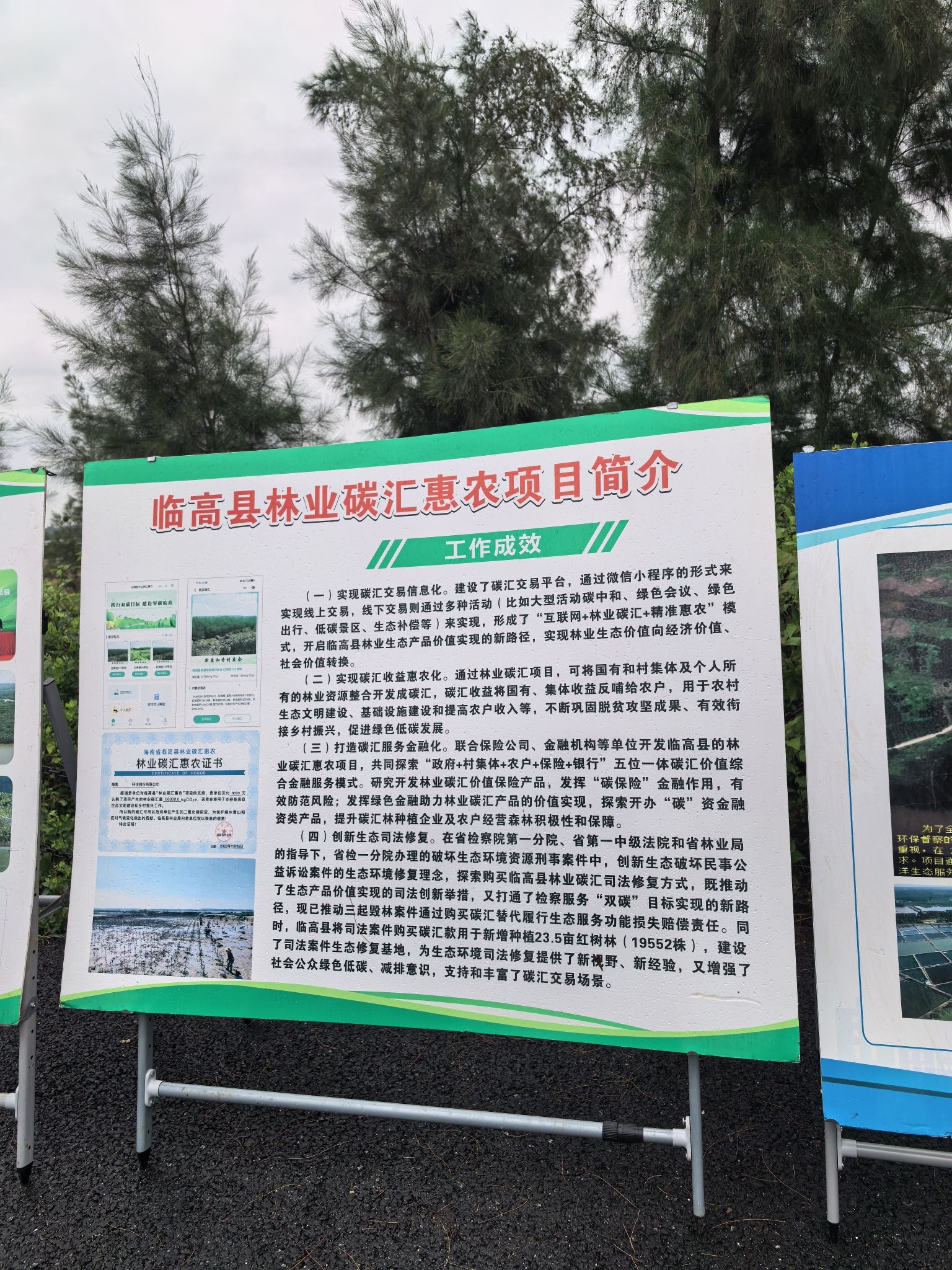澹庵泉迹红树林自然保护区