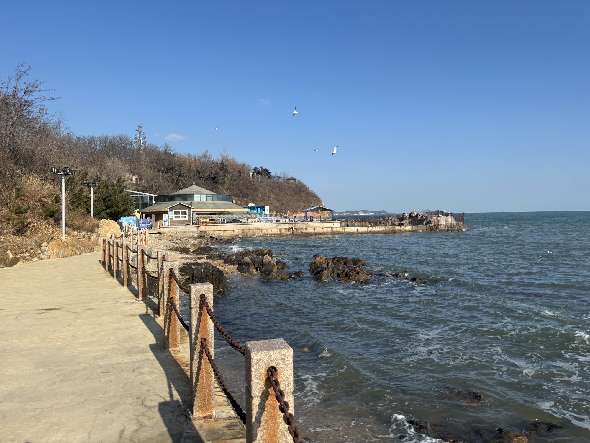 海豹湾生态保育公园现场照片 2
