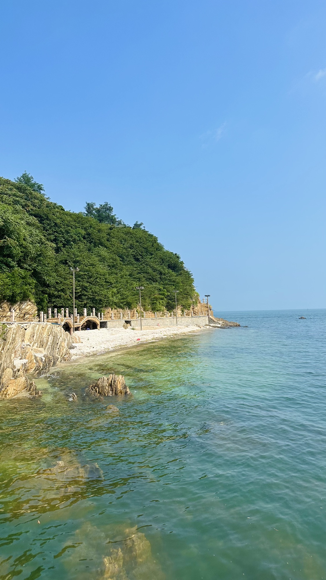 海豹湾生态保育公园现场照片 3