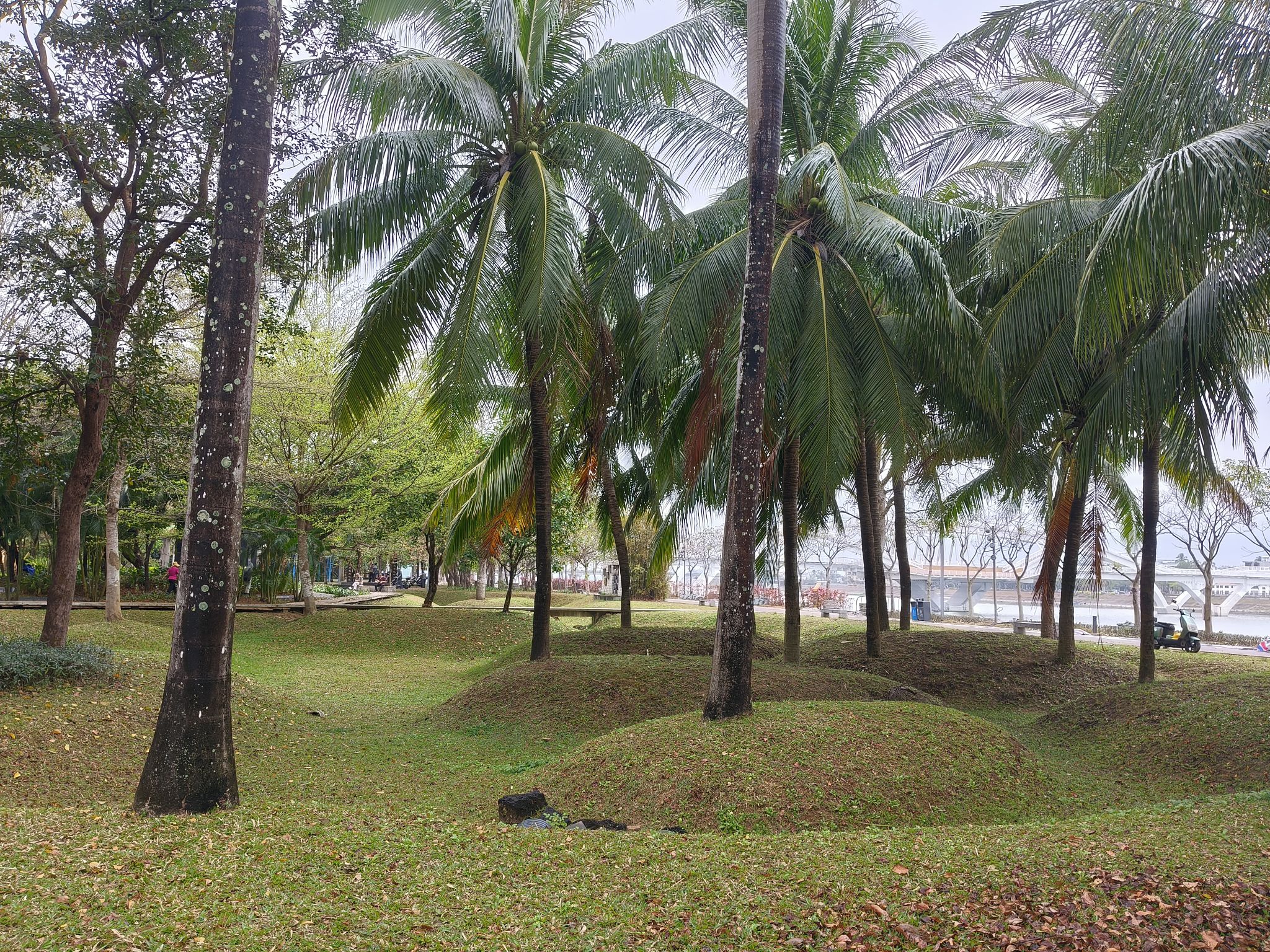 陵河湿地公园