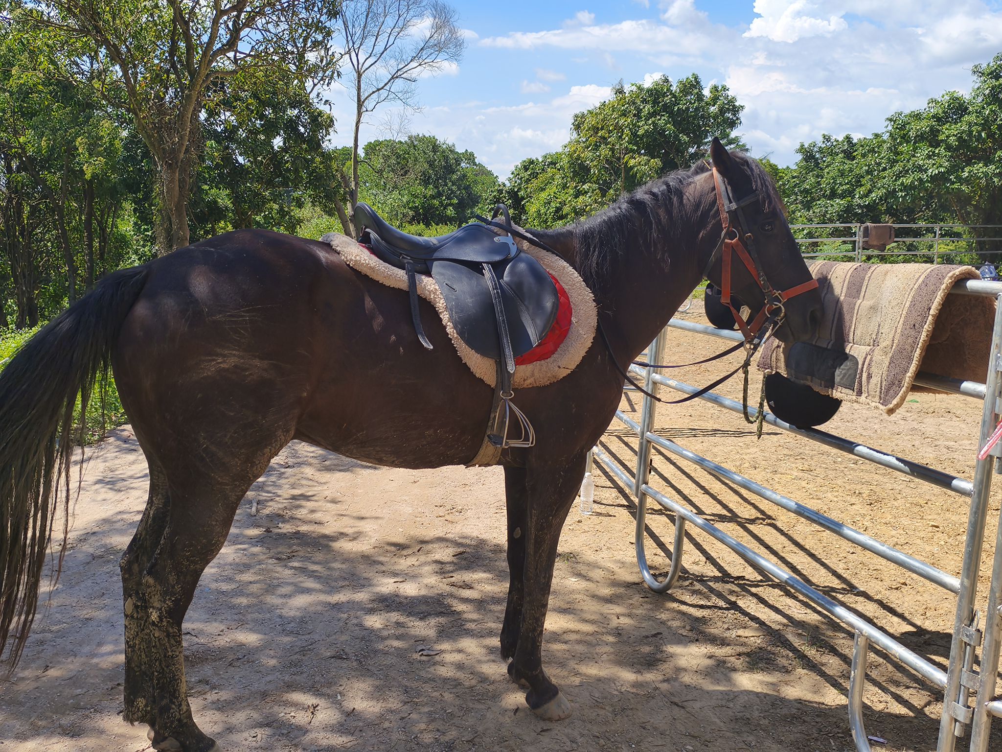 场地封面-骁骑营马术俱乐部