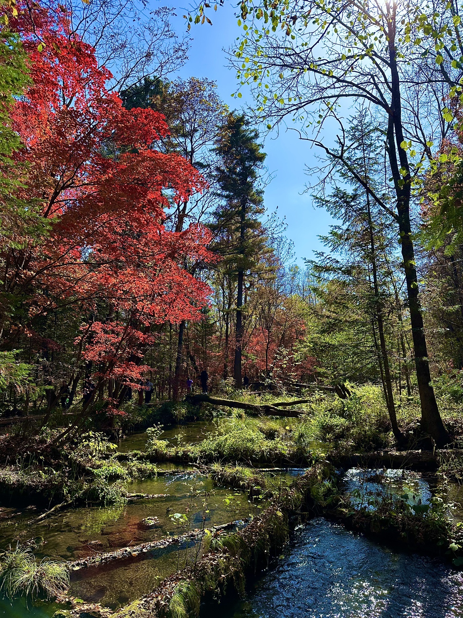 长白山九溪听泉景区