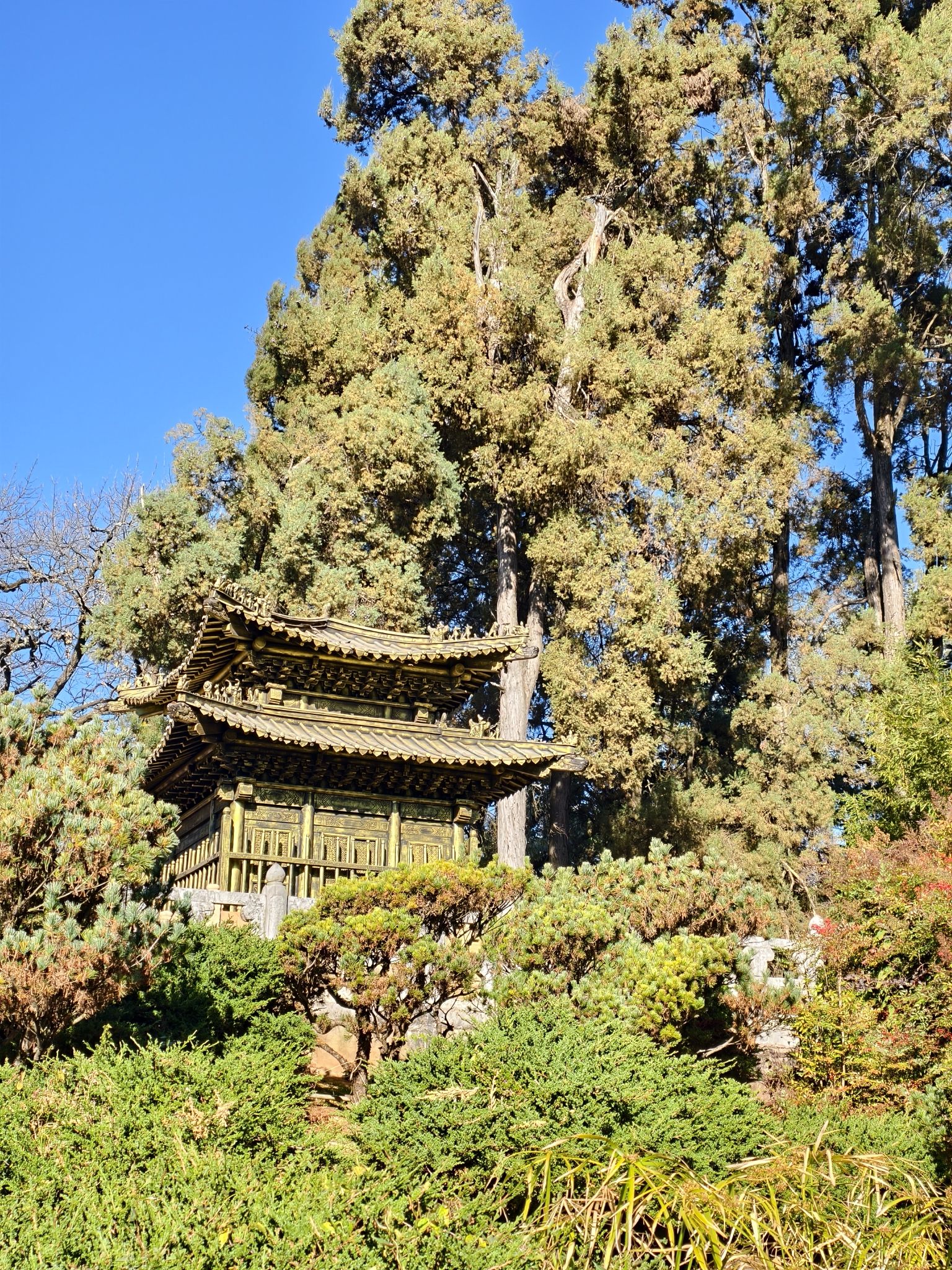 武当山金殿实景照片