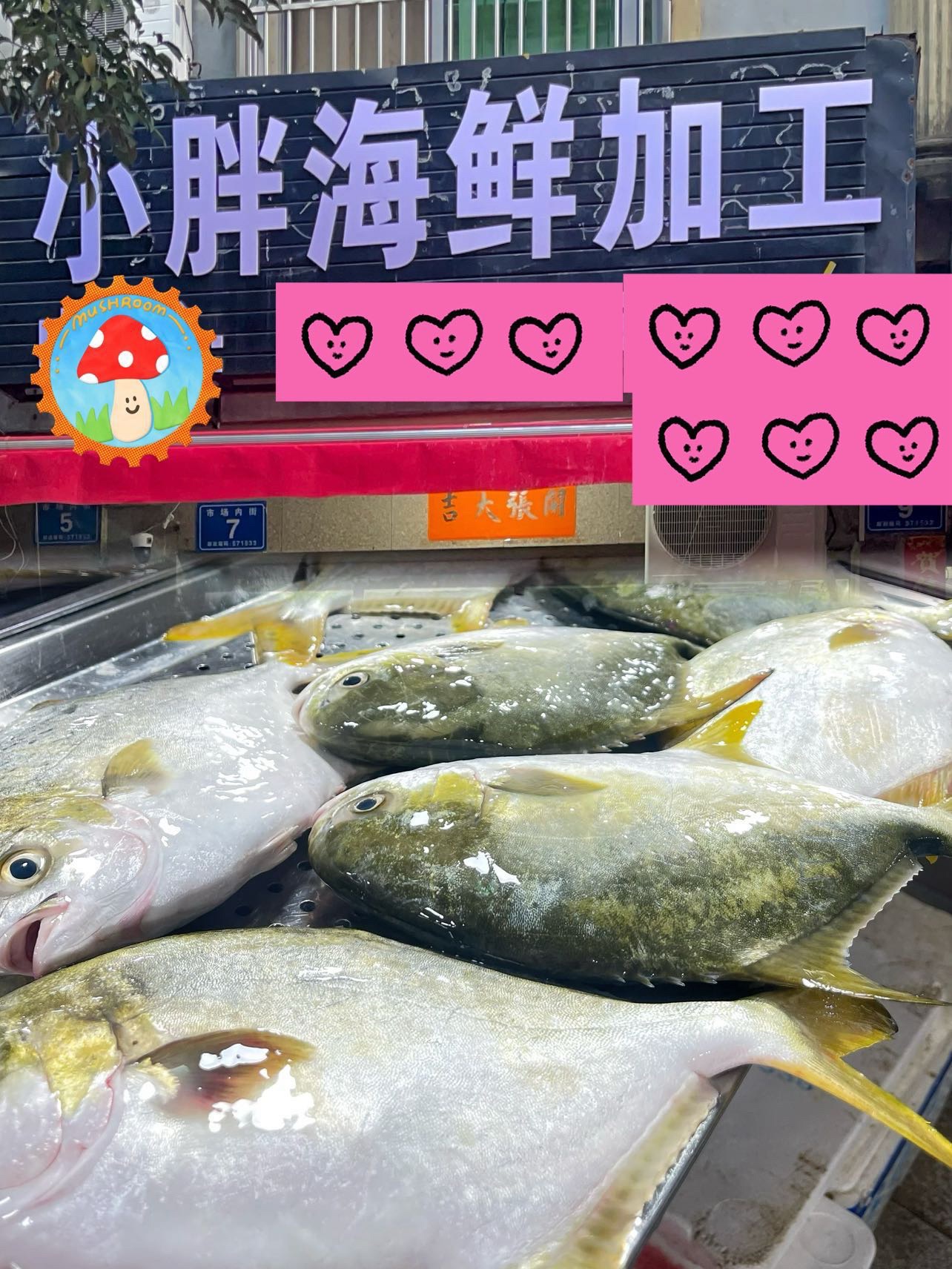小胖海鲜加工