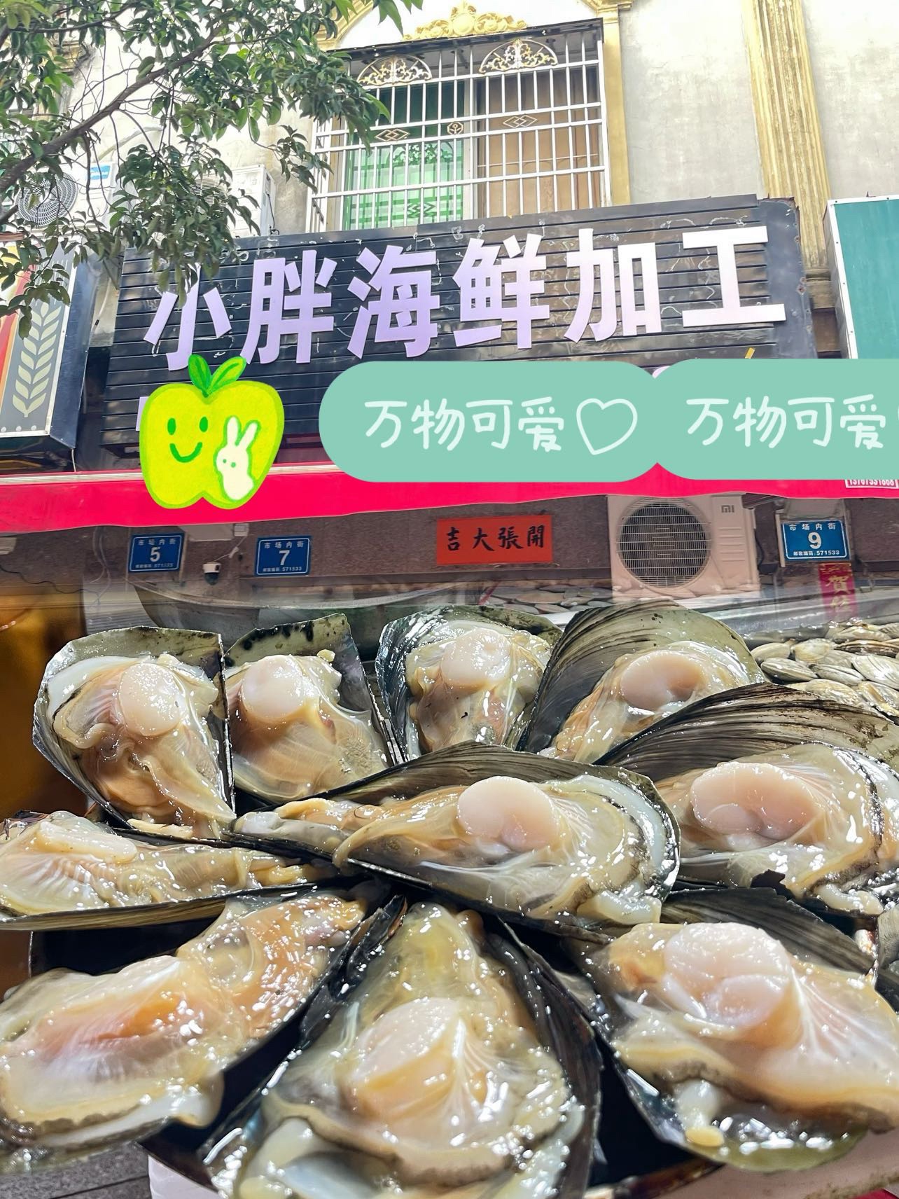 小胖海鲜加工