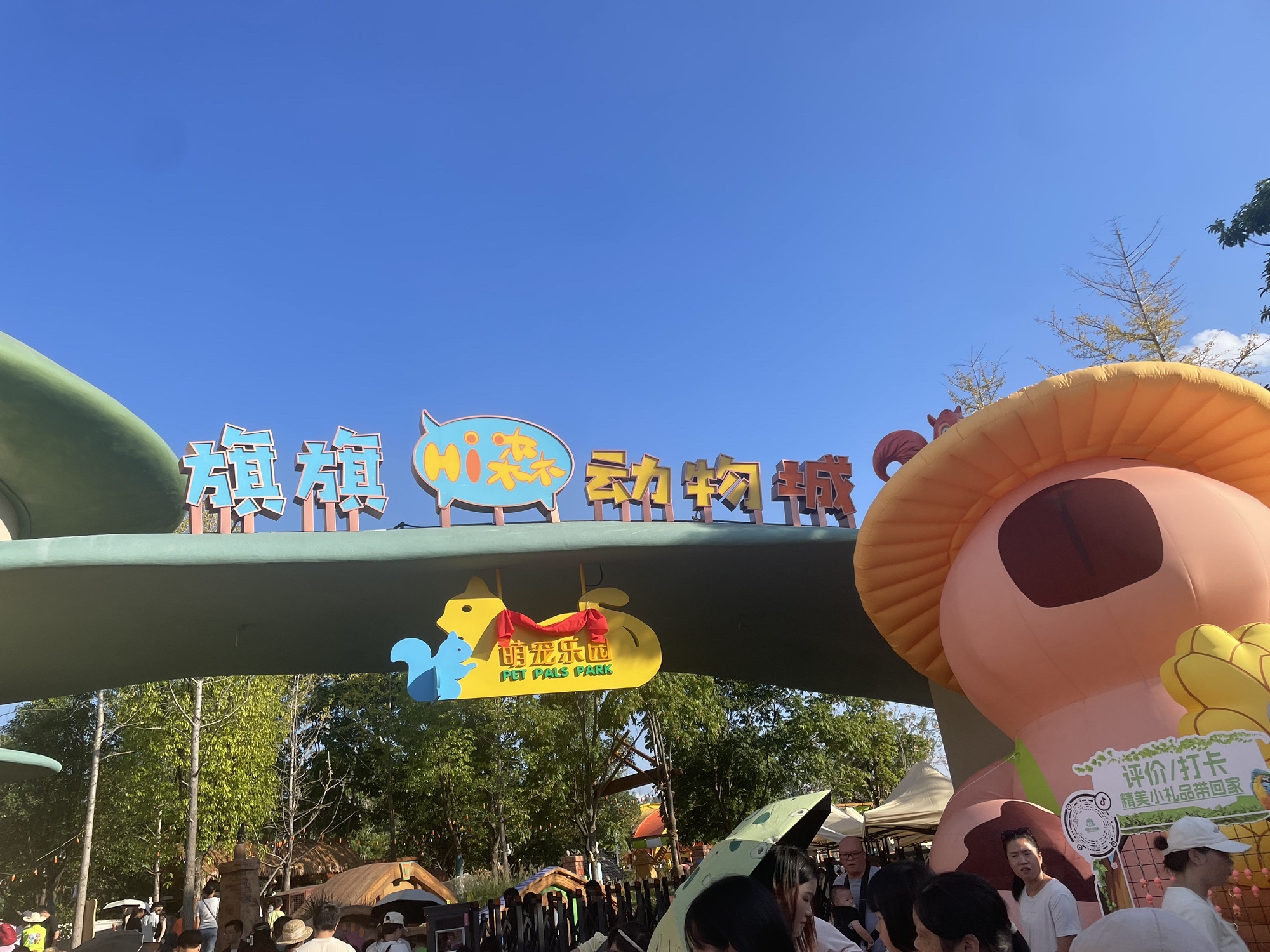 旗旗hi森动物城旅行图片 1