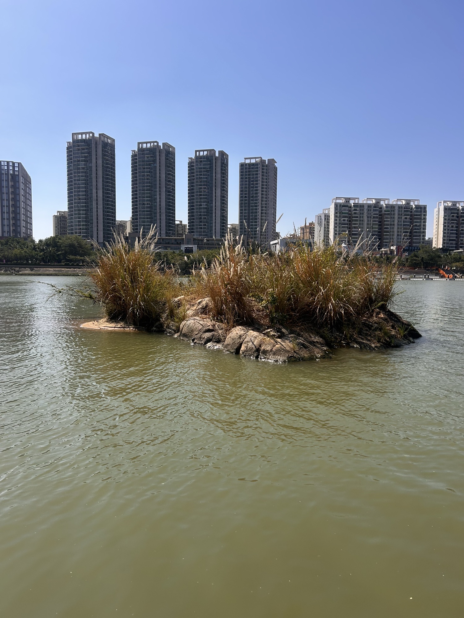 滨河北路带状公园