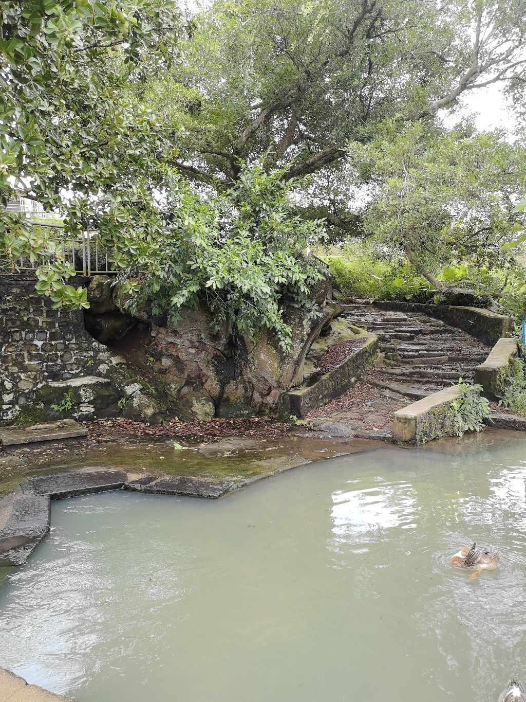仁三泉