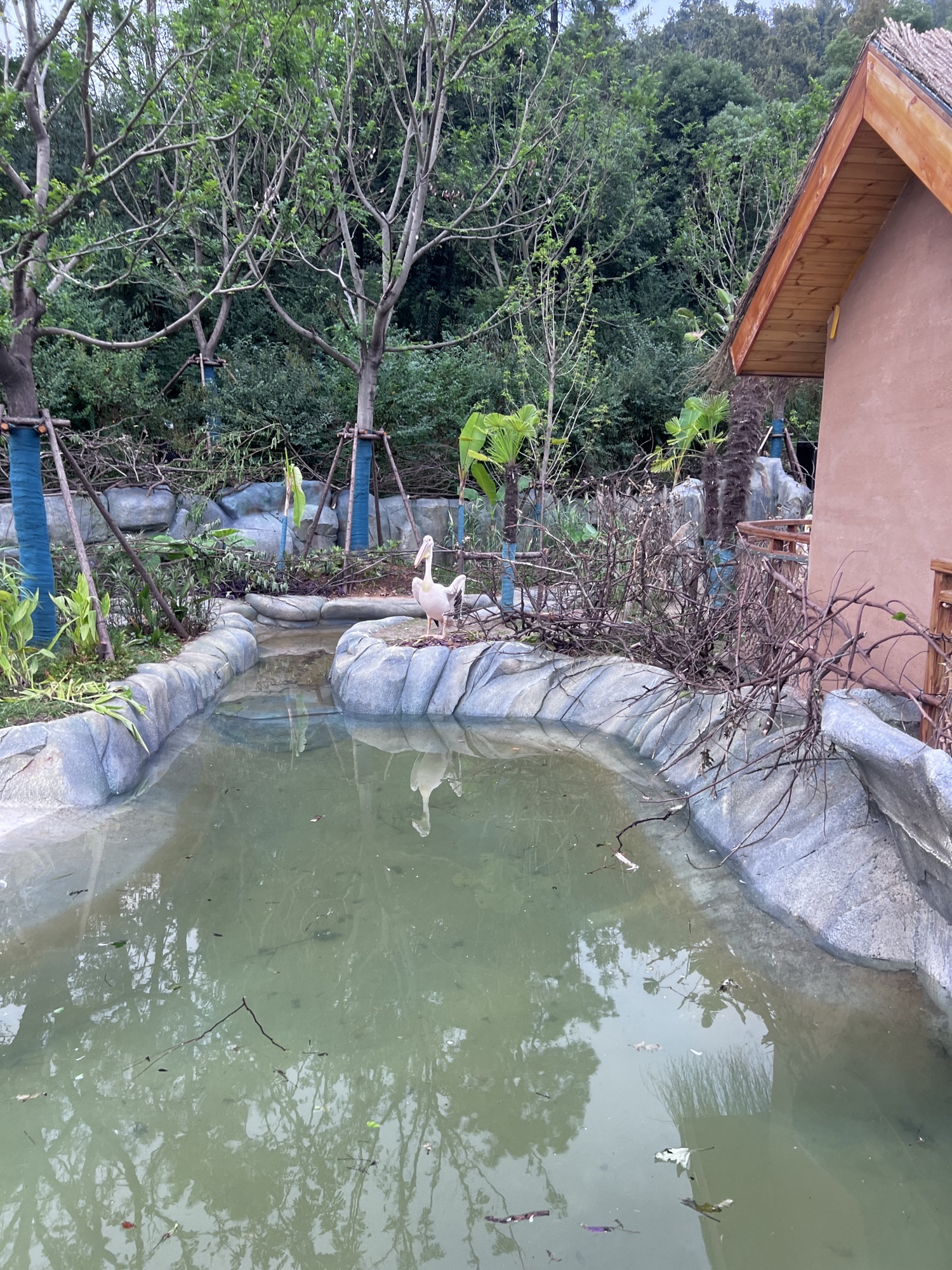 光谷动物牧场·昆虫馆·阳光沙滩旅行图片 3